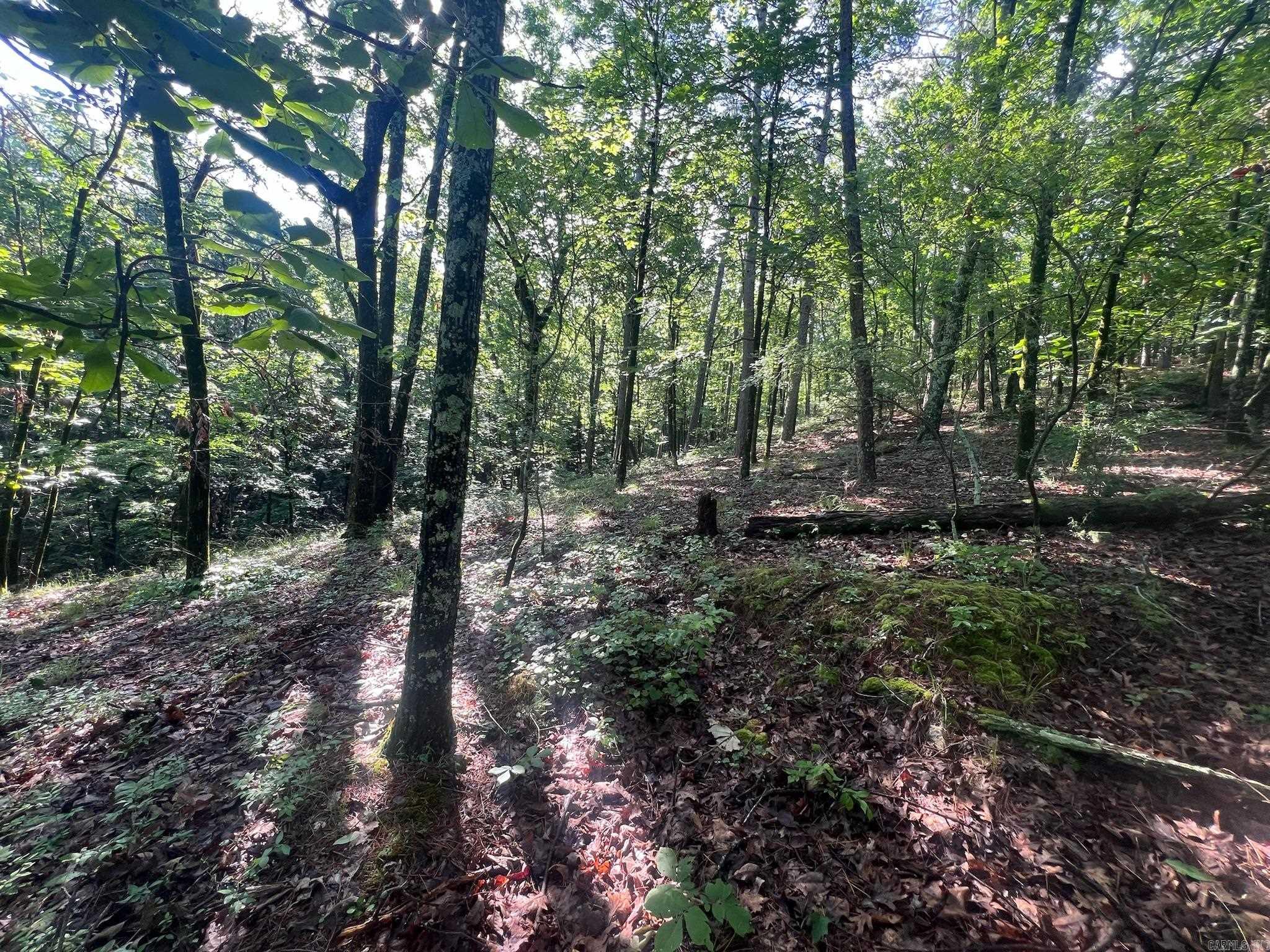 000 Possum Run Road Property Photo 46