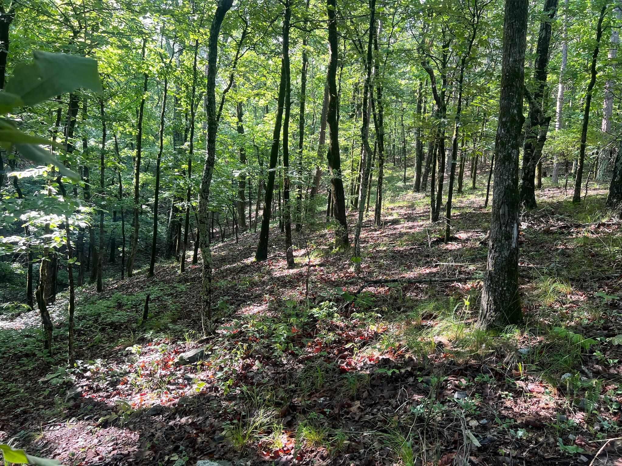 000 Possum Run Road Property Photo 47