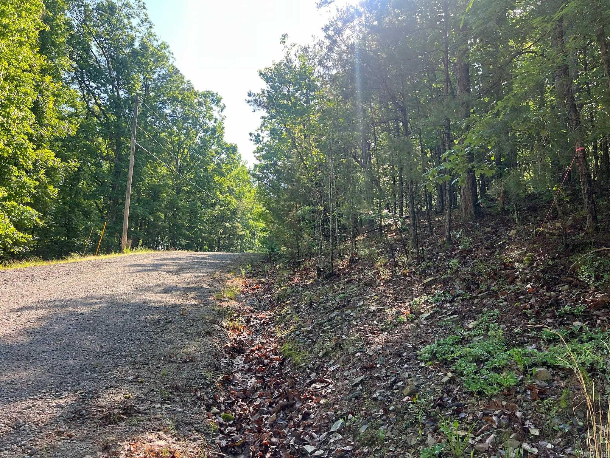 000 Possum Run Road Property Photo 49