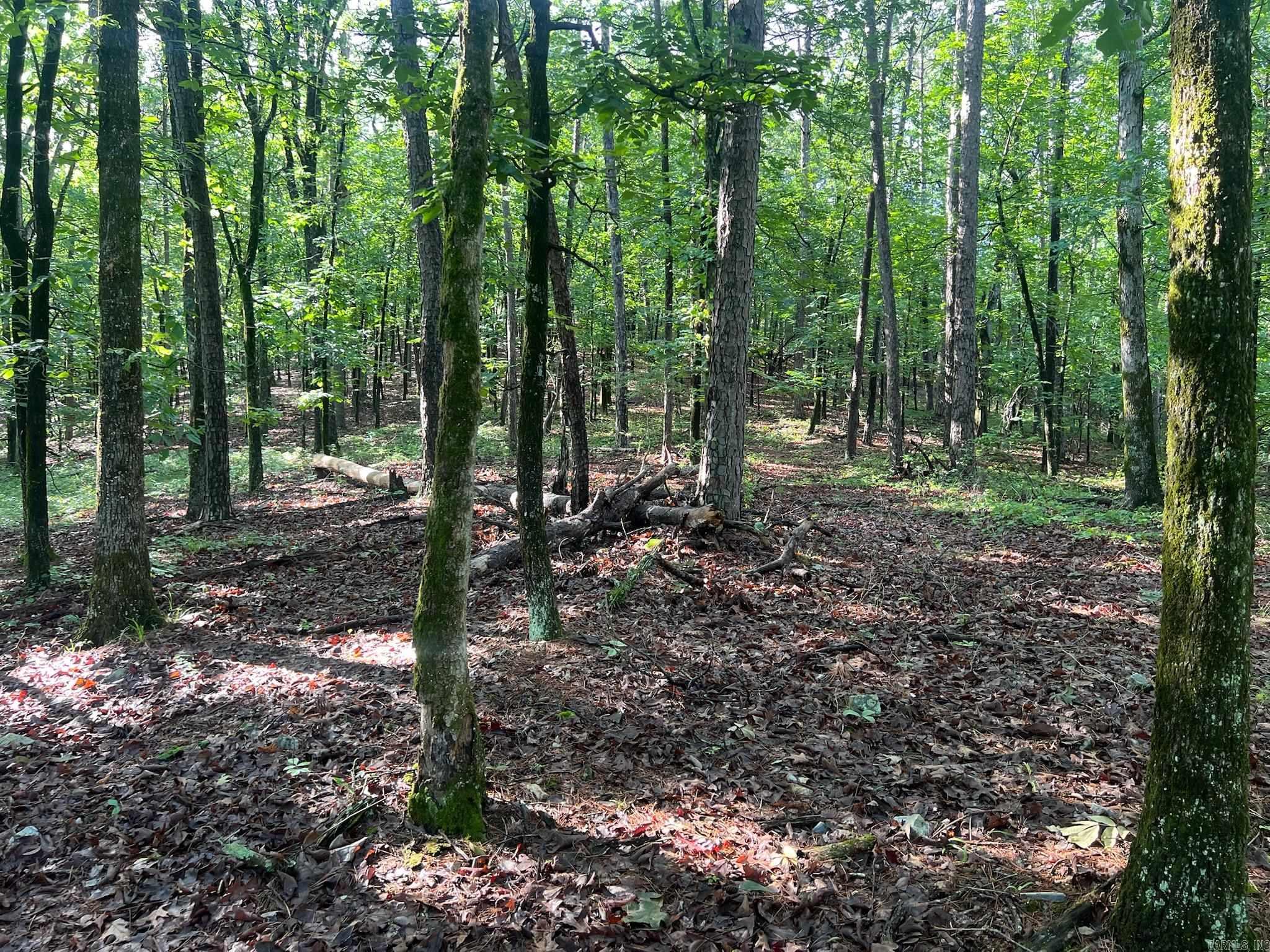 000 Possum Run Road Property Photo 50