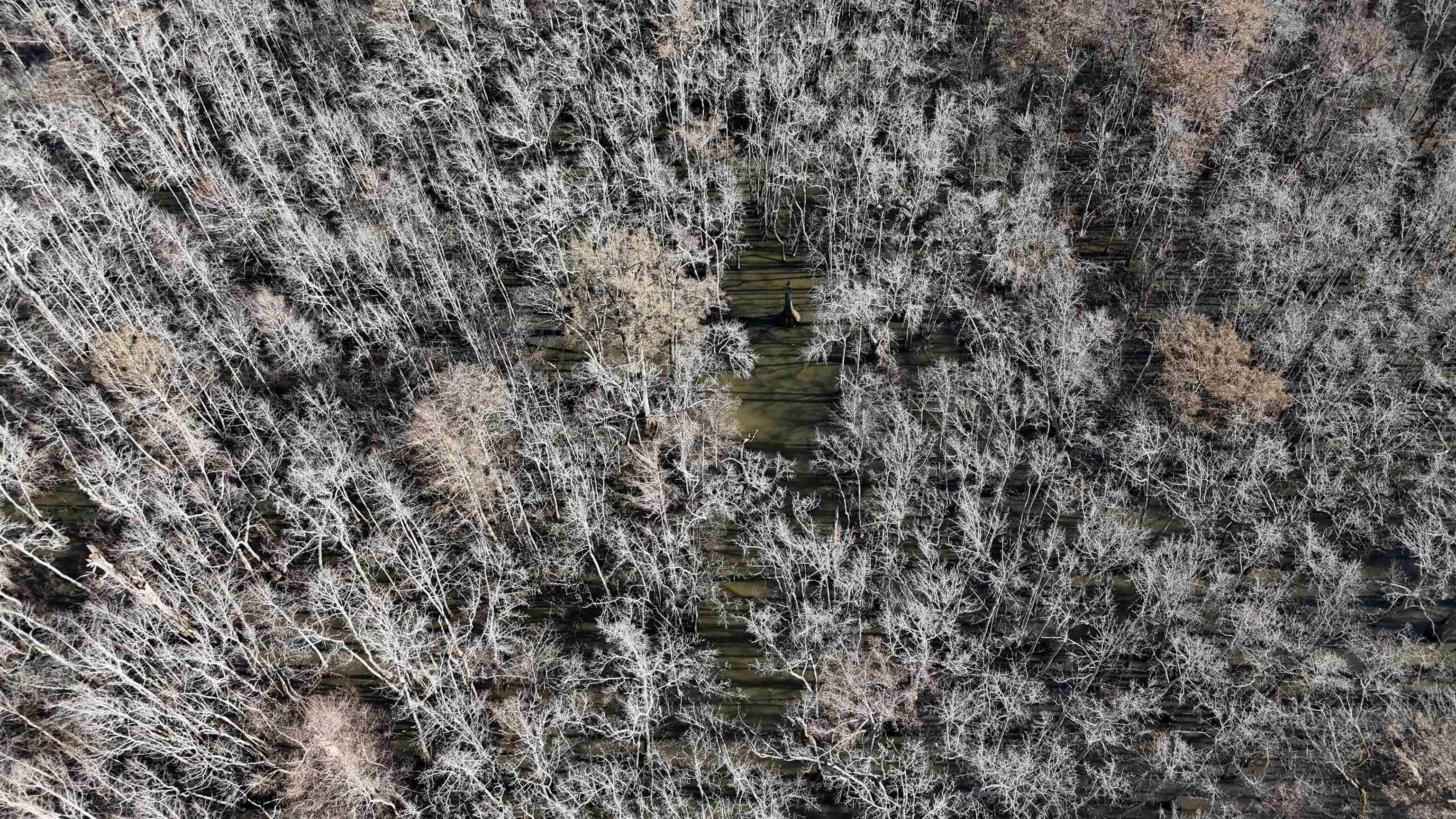 3225 Loop Rd Property Photo 8