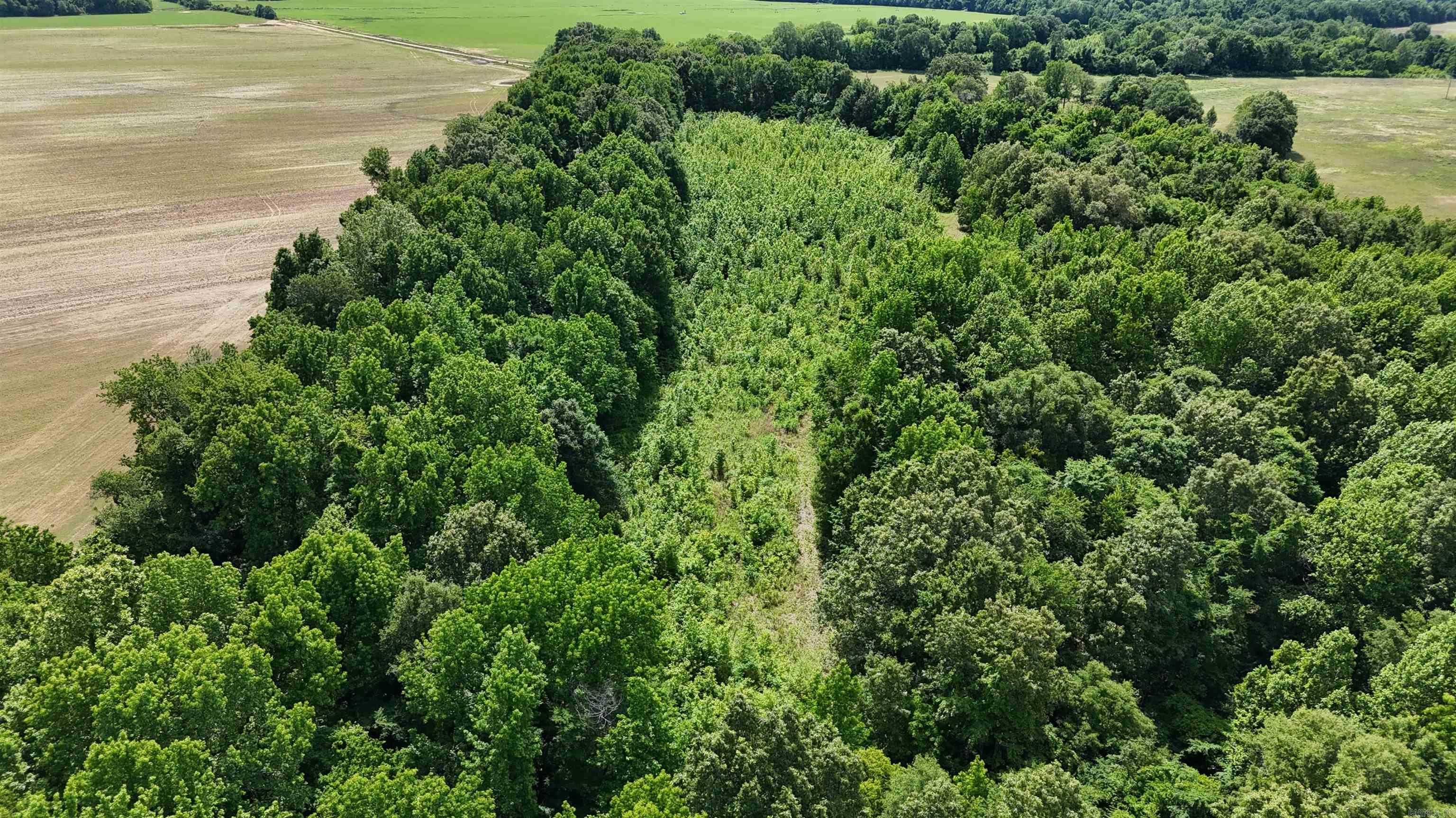 000 Phillips Rd. 222 Lexa Property Photo 13