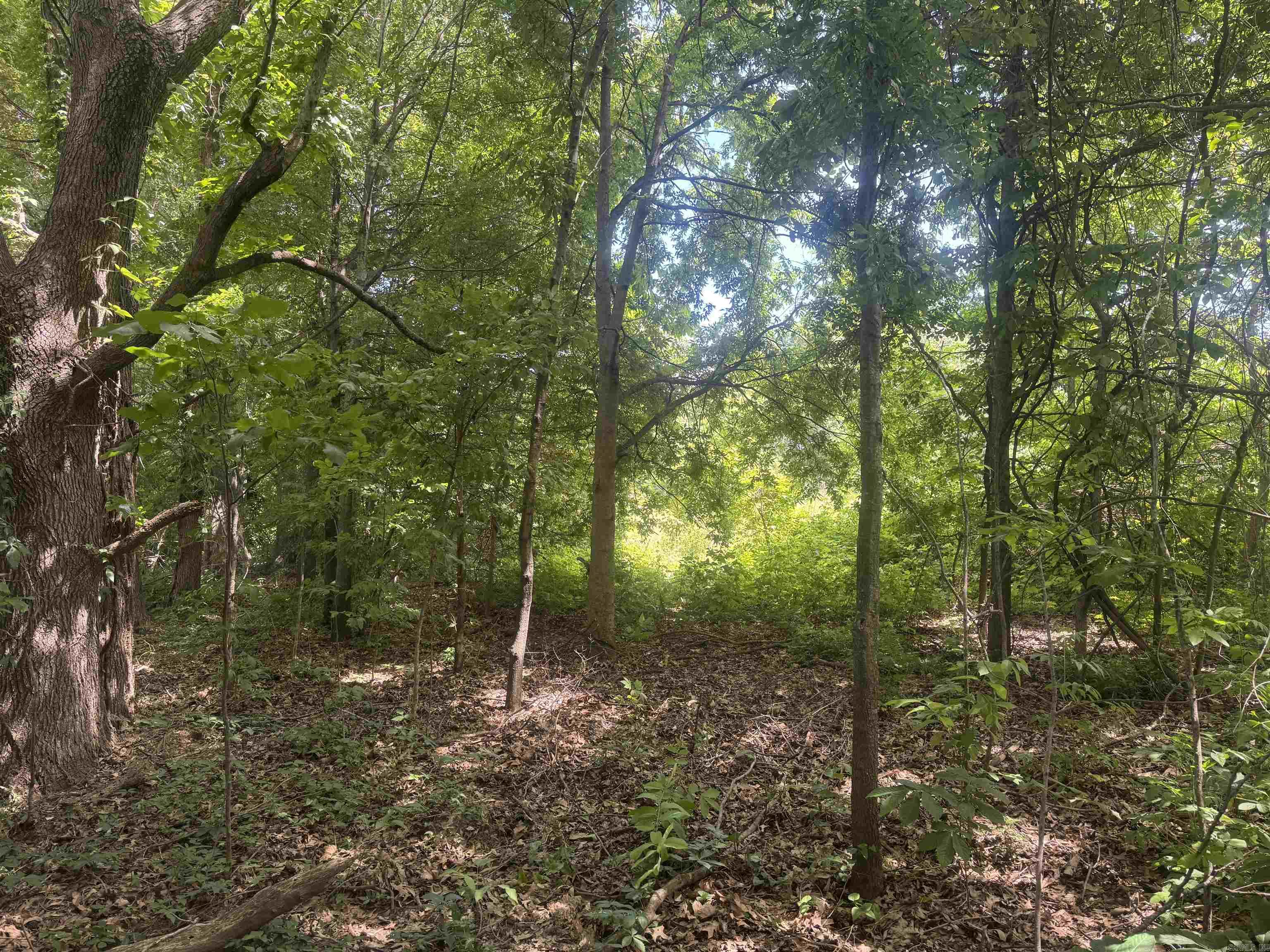 000 Phillips Rd. 222 Lexa Property Photo 26