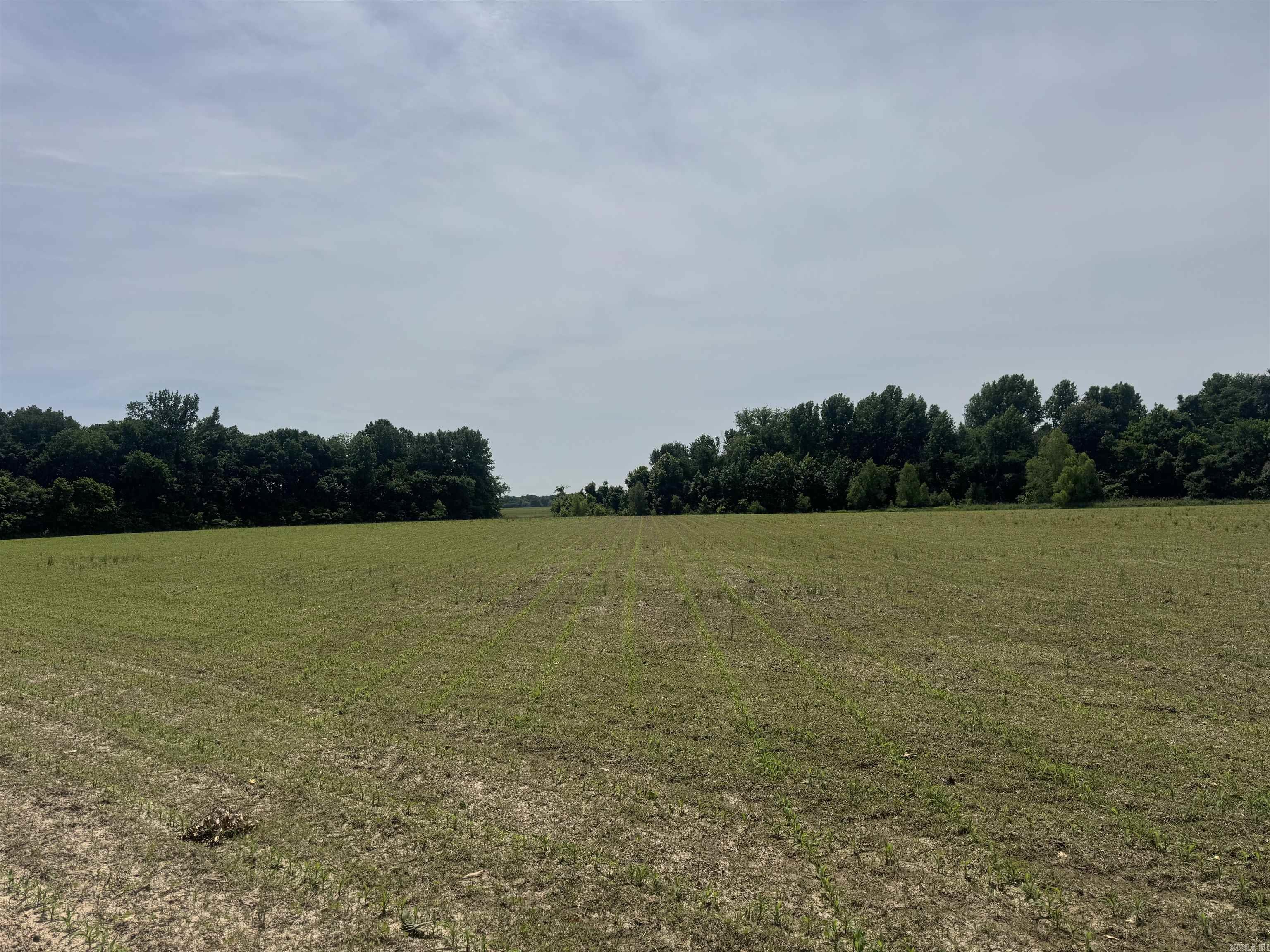 000 Phillips Rd. 222 Lexa Property Photo 31