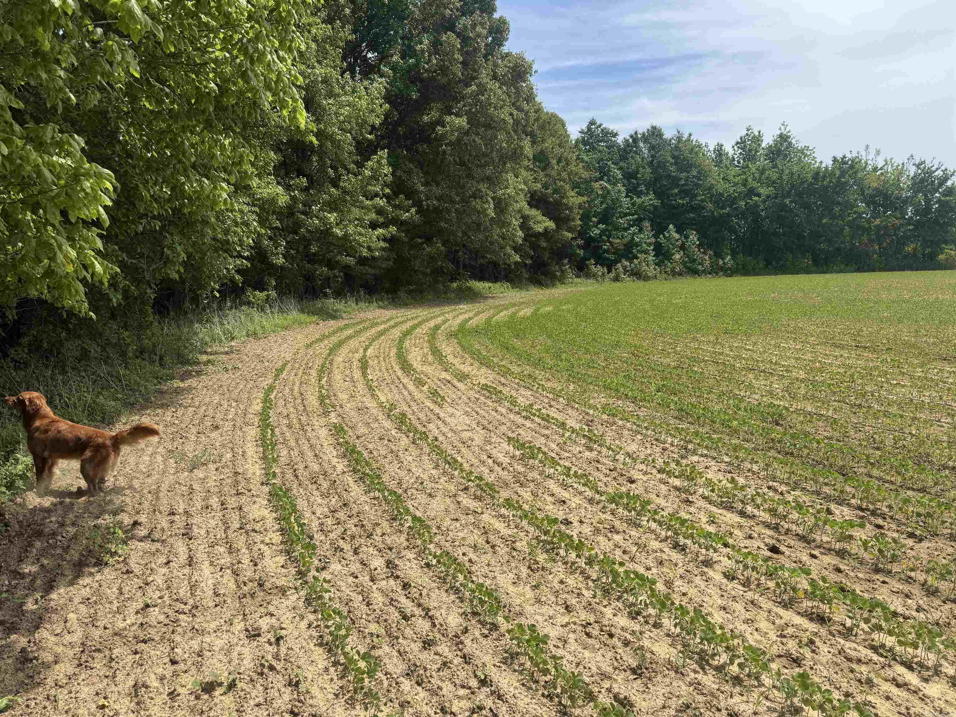 000 Phillips Rd. 222 Lexa Property Photo 36