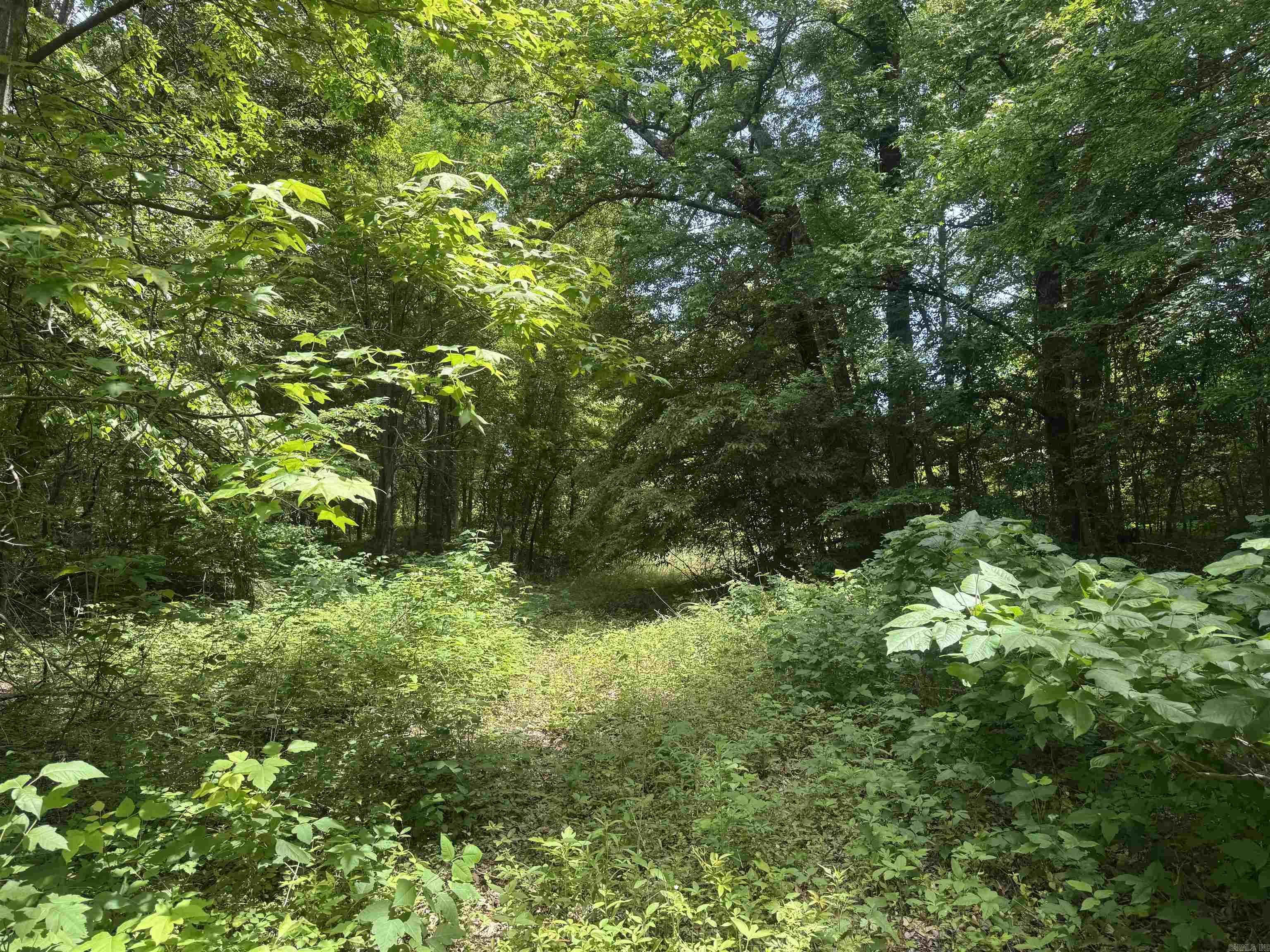 000 Phillips Rd. 222 Lexa Property Photo 40