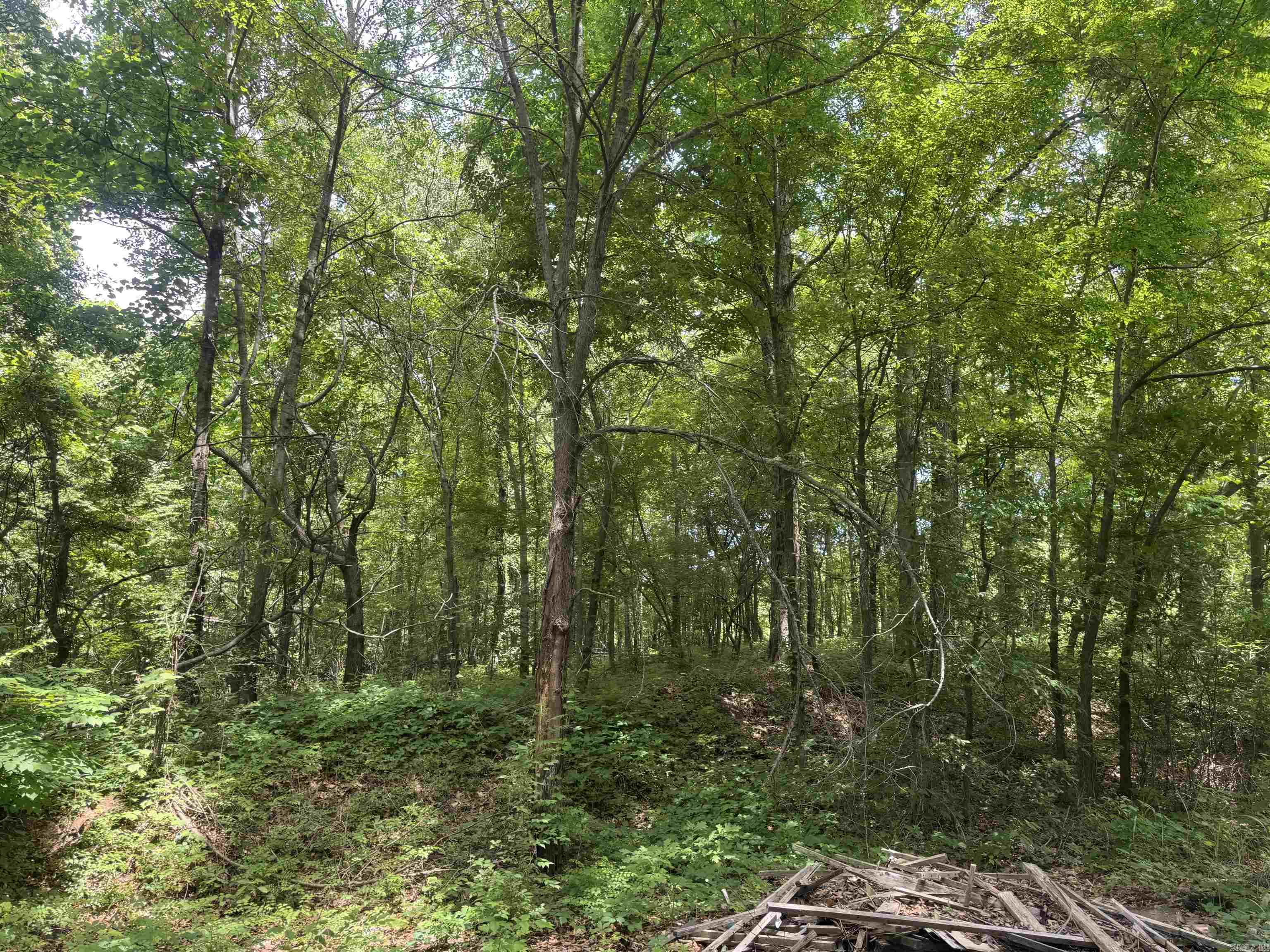 000 Phillips Rd. 222 Lexa Property Photo 41