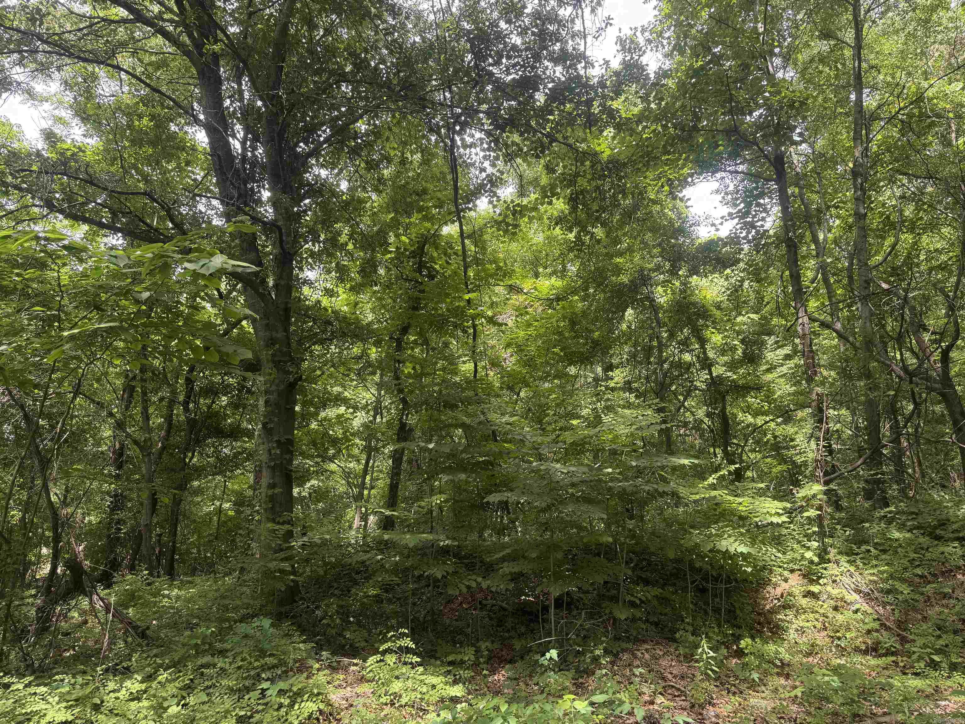 000 Phillips Rd. 222 Lexa Property Photo 42
