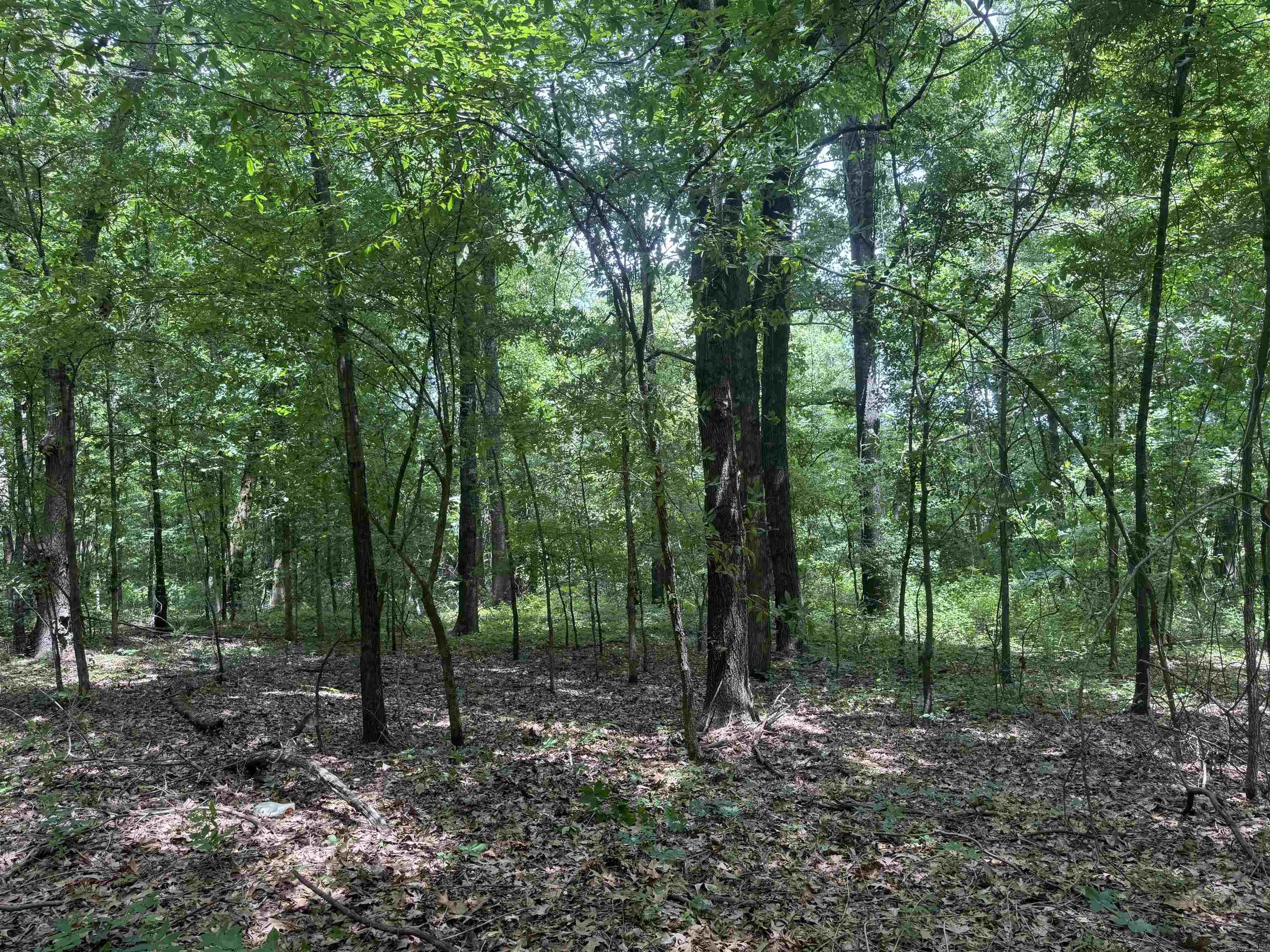 000 Phillips Rd. 222 Lexa Property Photo 44