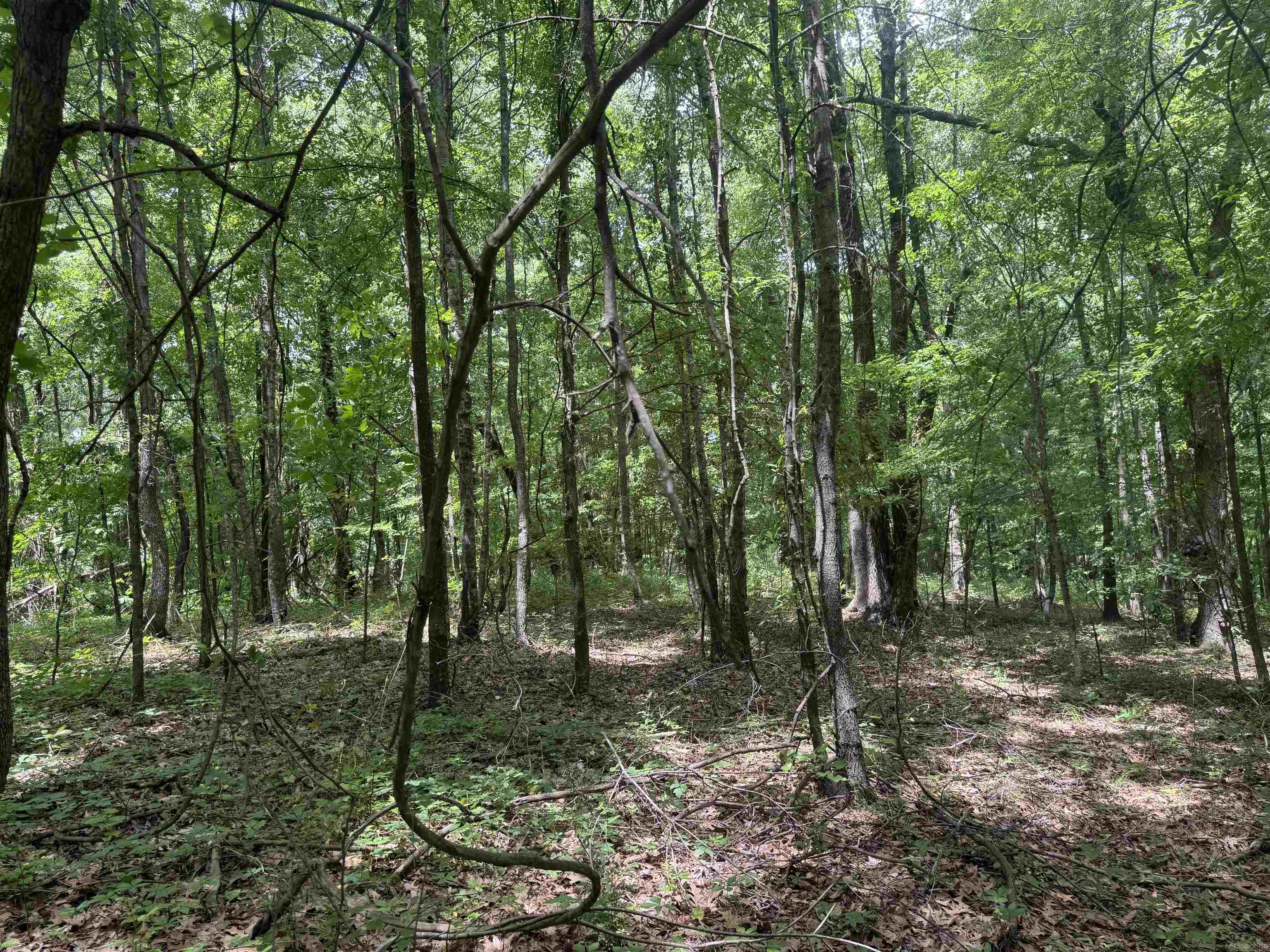000 Phillips Rd. 222 Lexa Property Photo 45