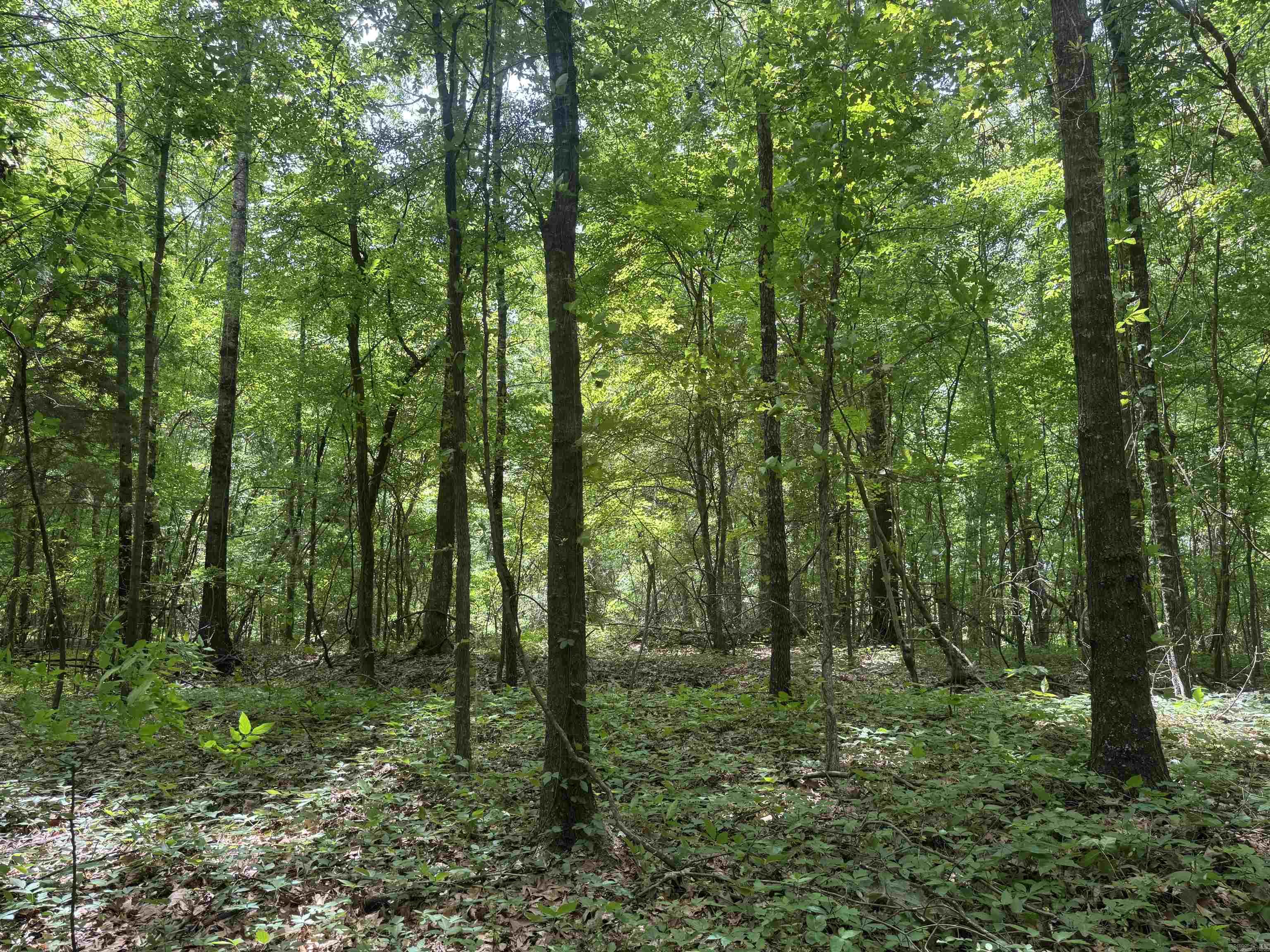 000 Phillips Rd. 222 Lexa Property Photo 46