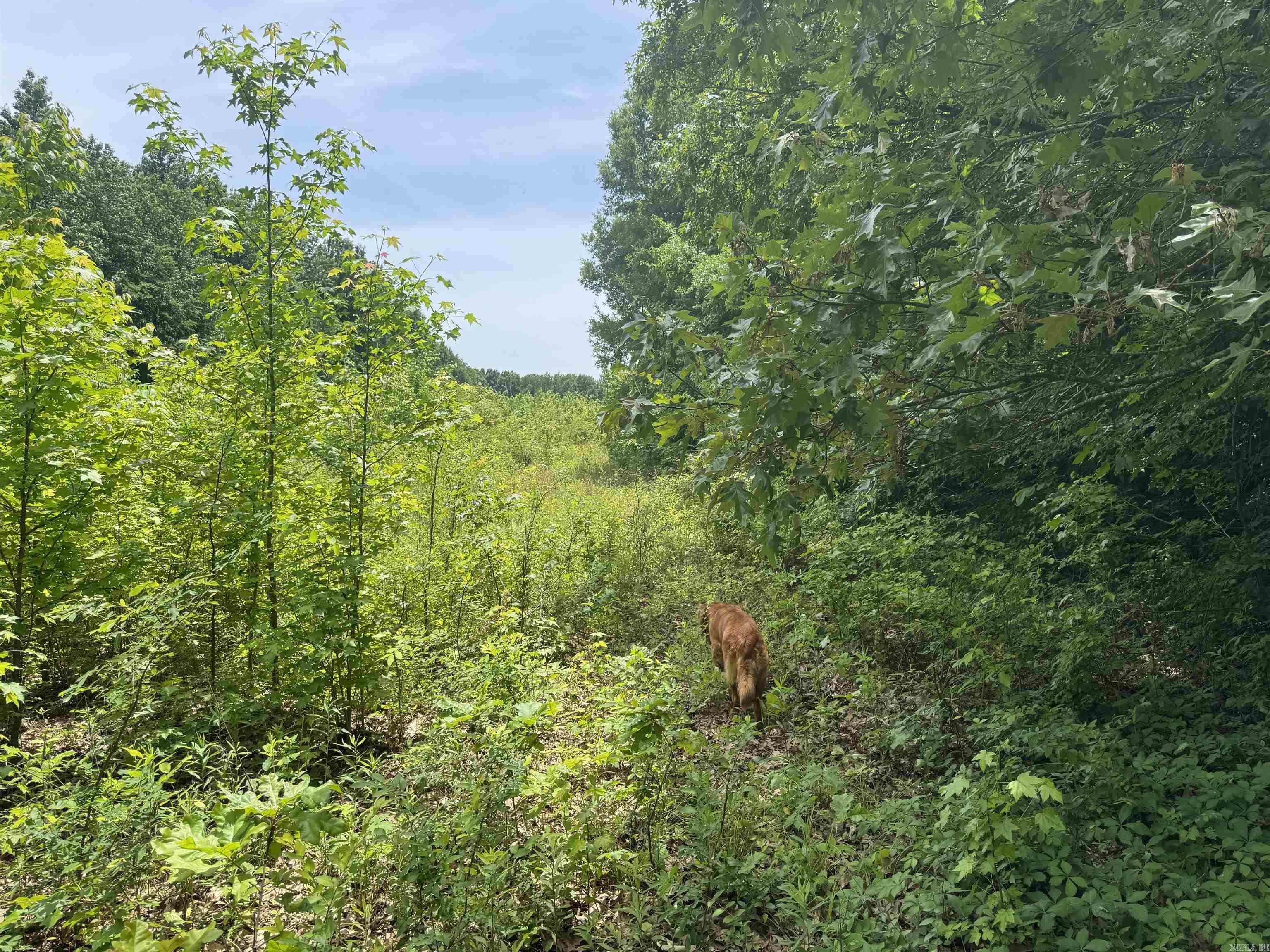 000 Phillips Rd. 222 Lexa Property Photo 47