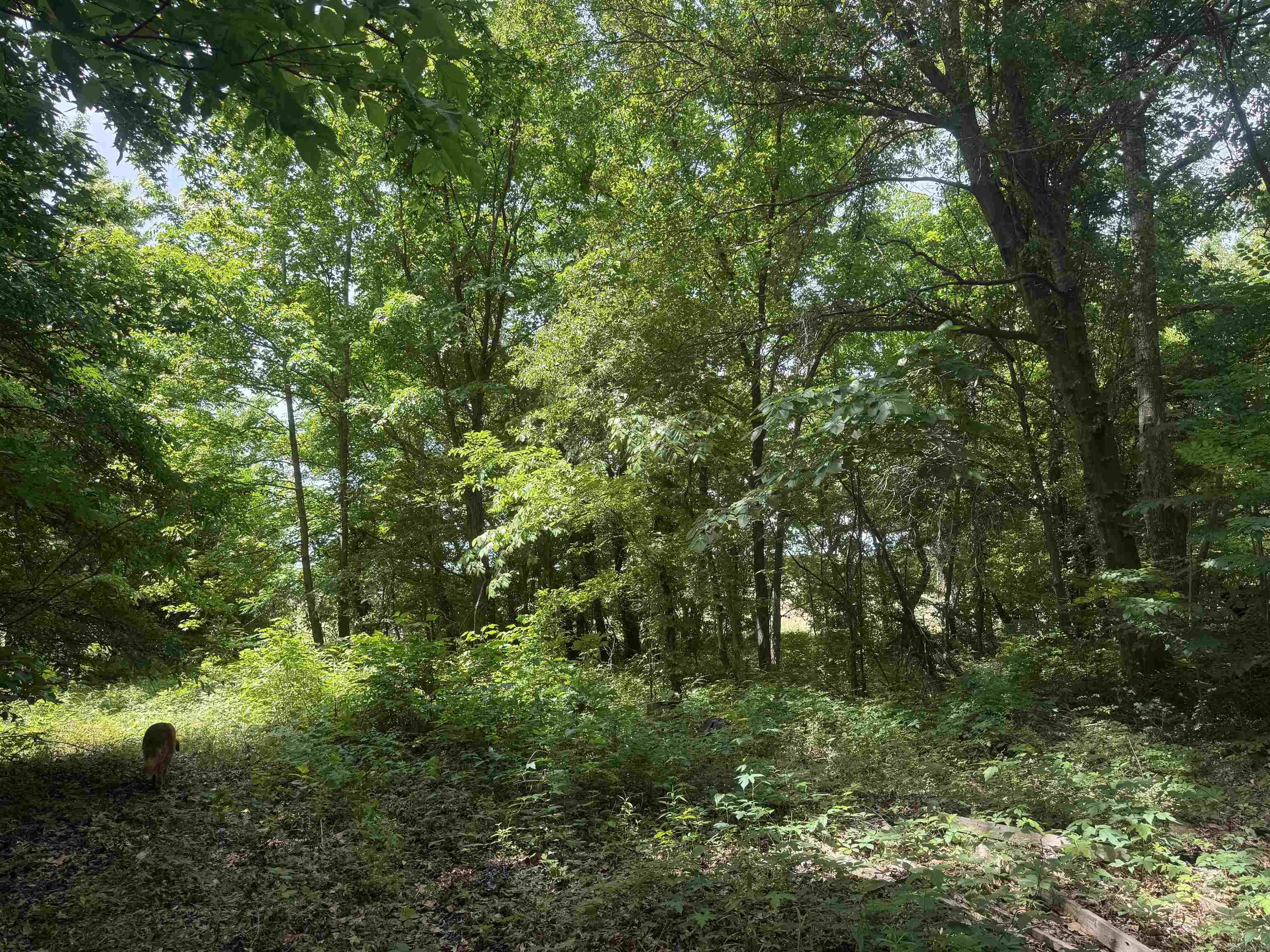 000 Phillips Rd. 222 Lexa Property Photo 48