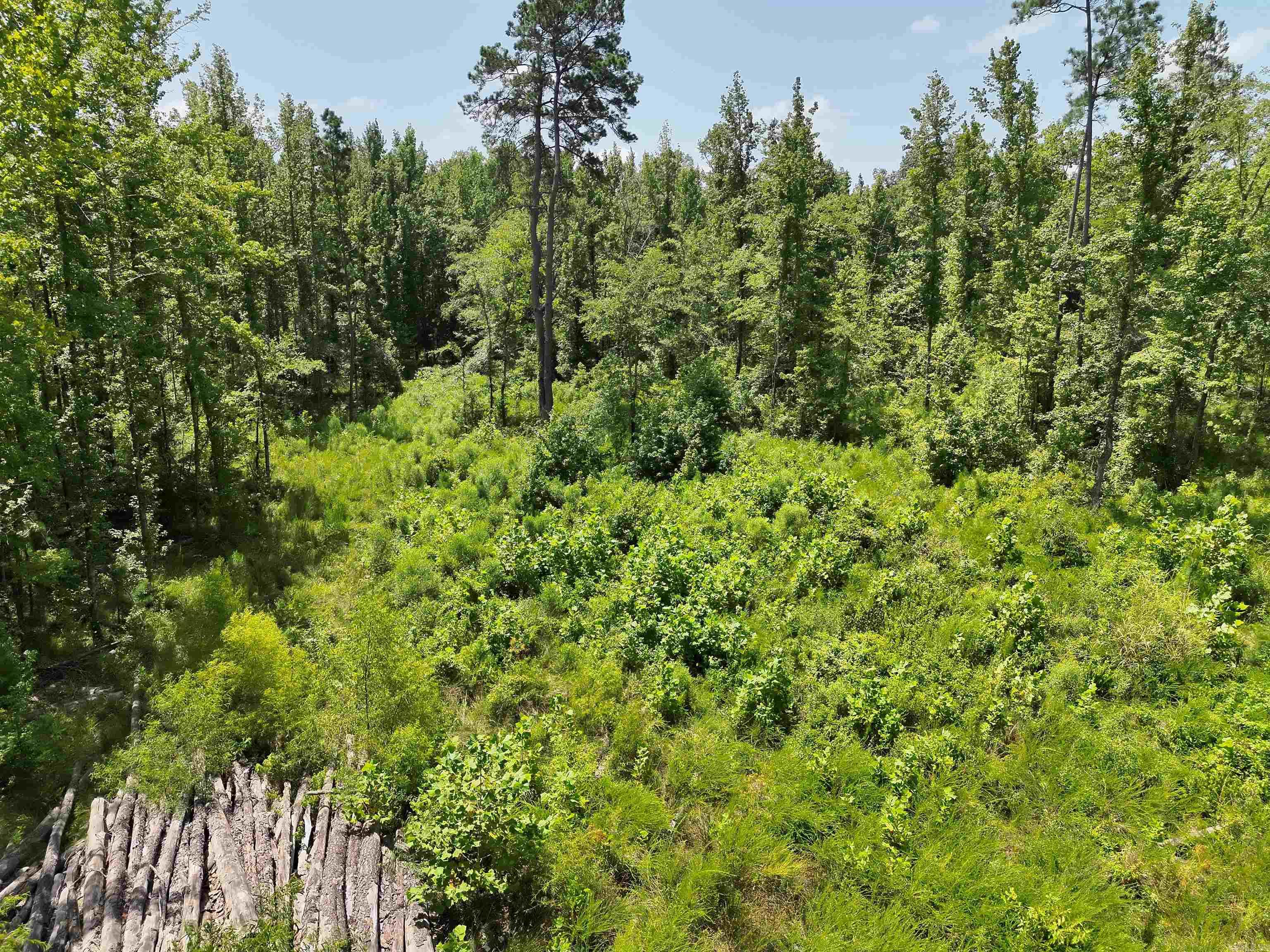 Tbd Hwy 26 Lot#wp006 Property Photo 11