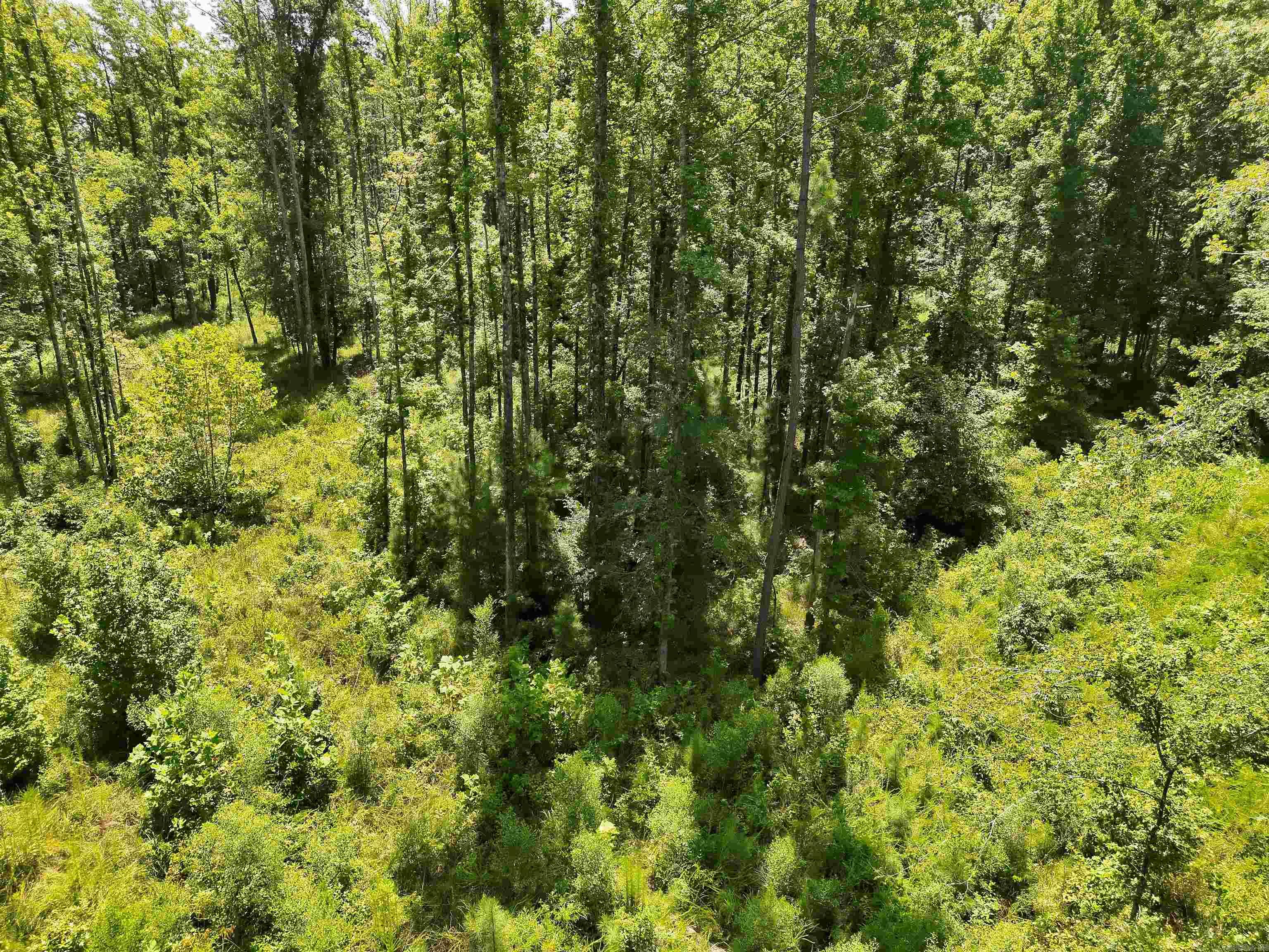Tbd Hwy 26 Lot#wp006 Property Photo 12
