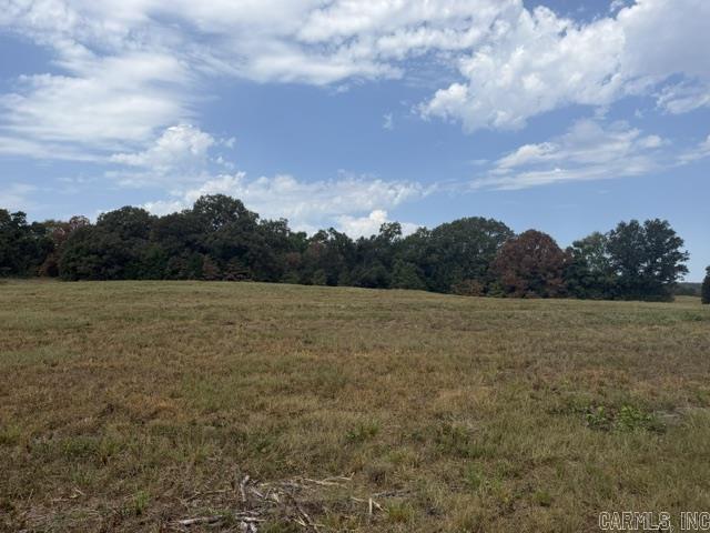 Tract 4 Louie Pruitt Rd. Property Photo 7