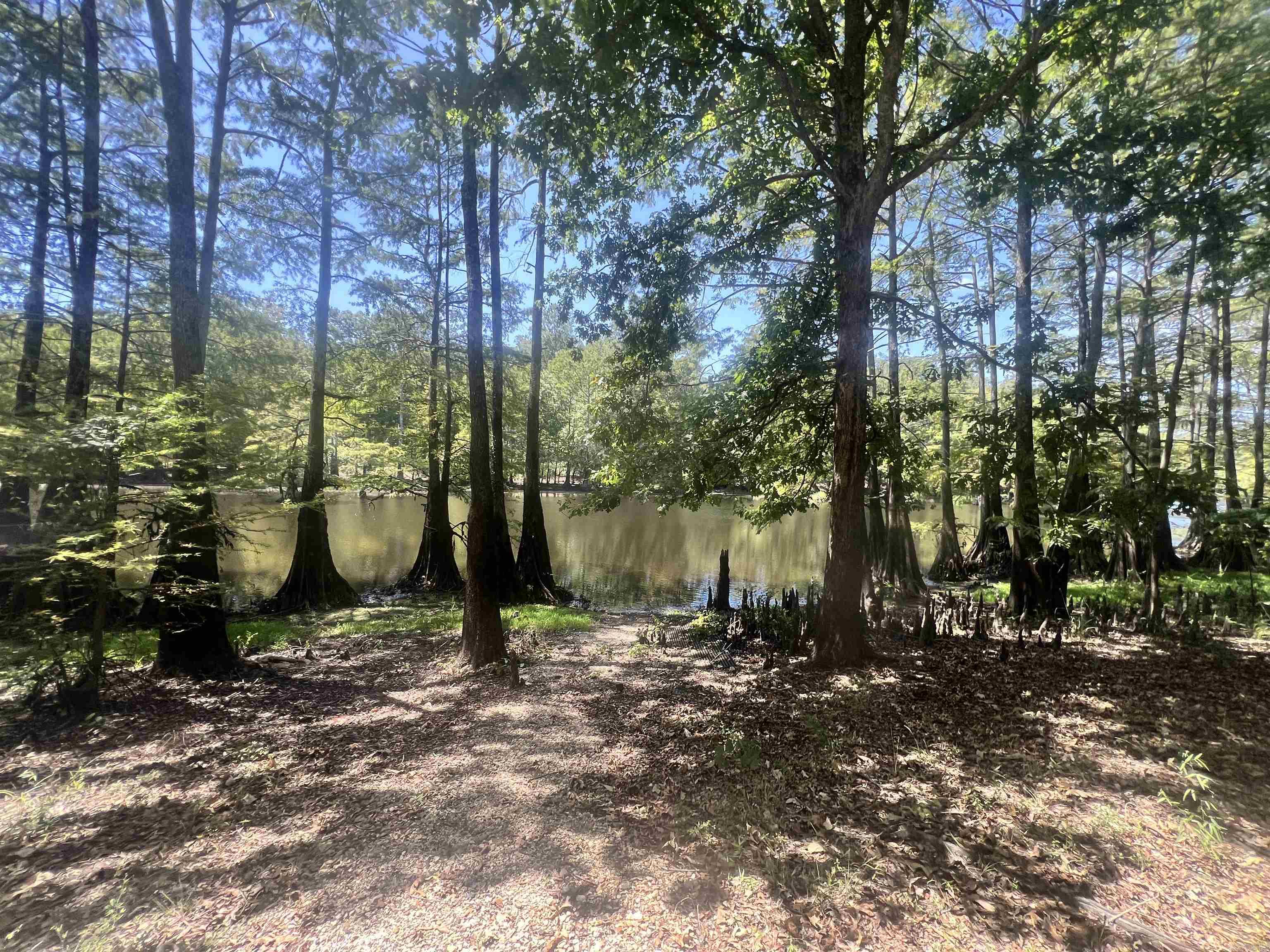 4878 Calhoun 245 Road Property Photo 14