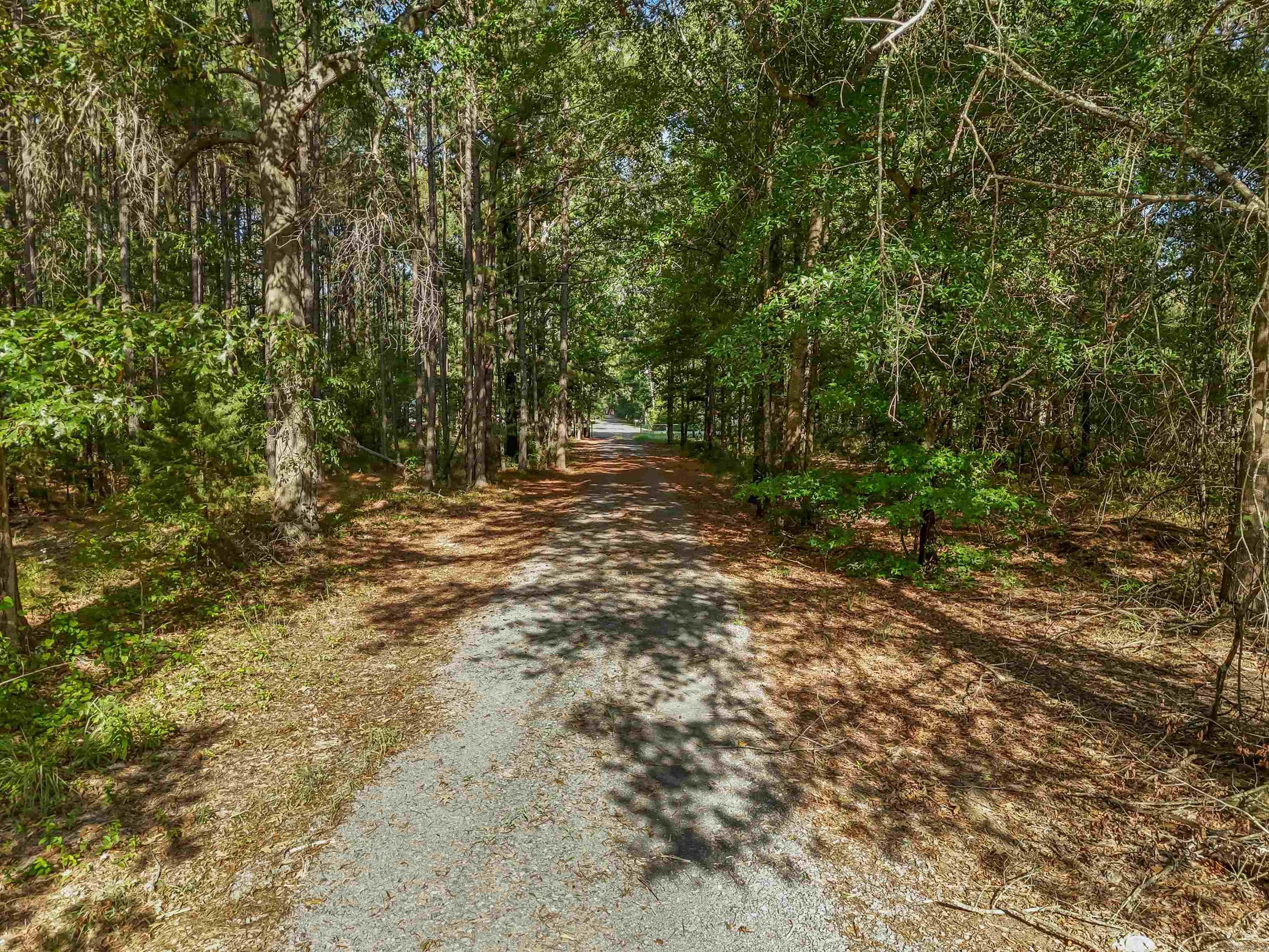 3300 Highway 104 Property Photo 24