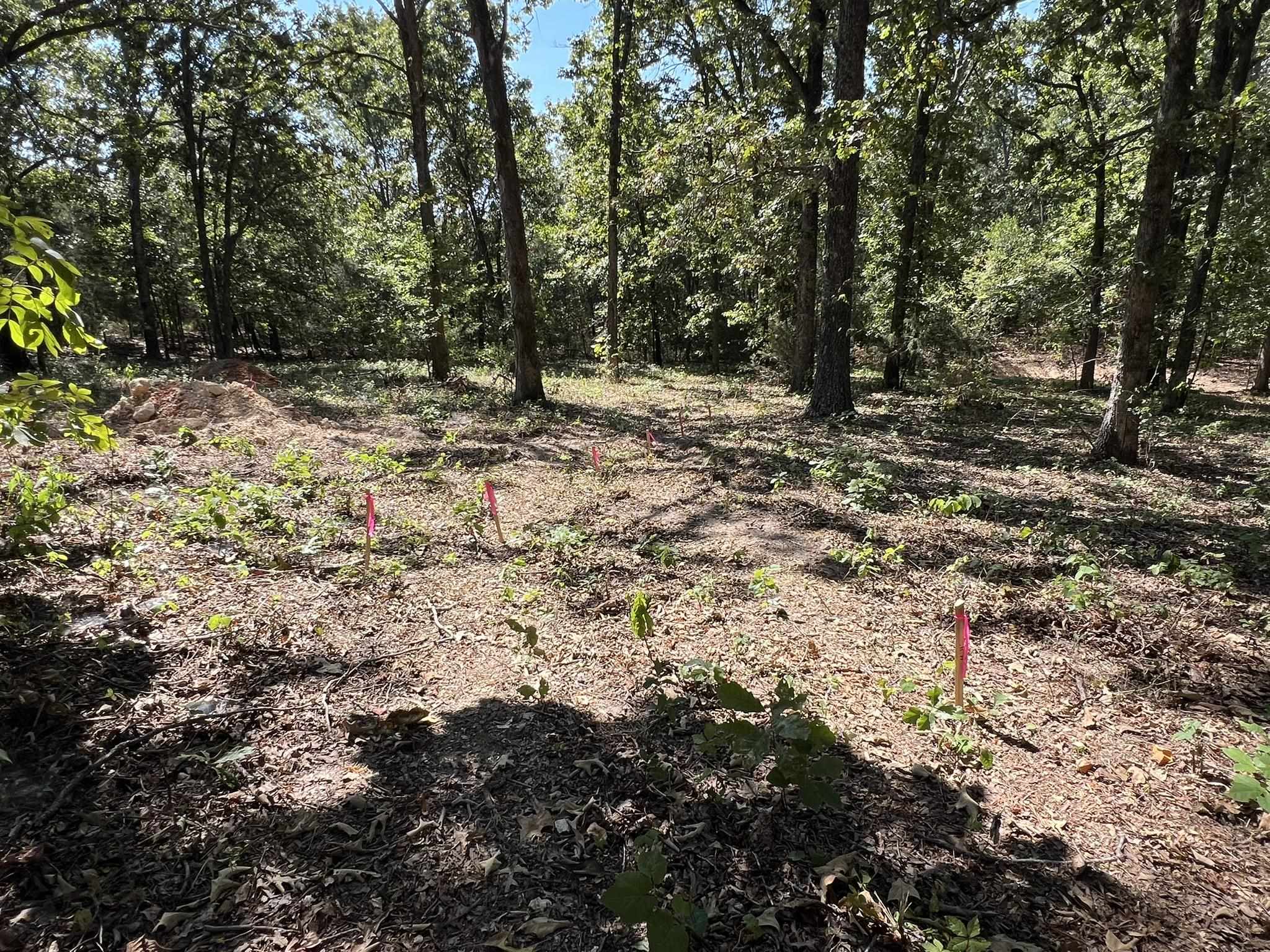 000 N Highway 9 Highway Property Photo 18