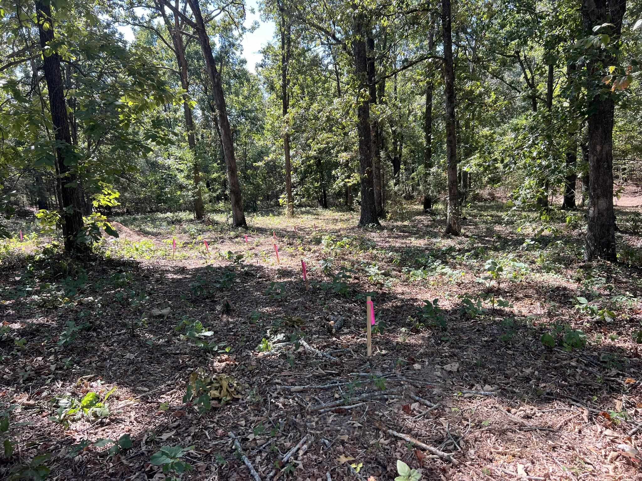 000 N Highway 9 Highway Property Photo 19