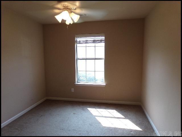 13757 Cedar Glen Cove Property Photo 23