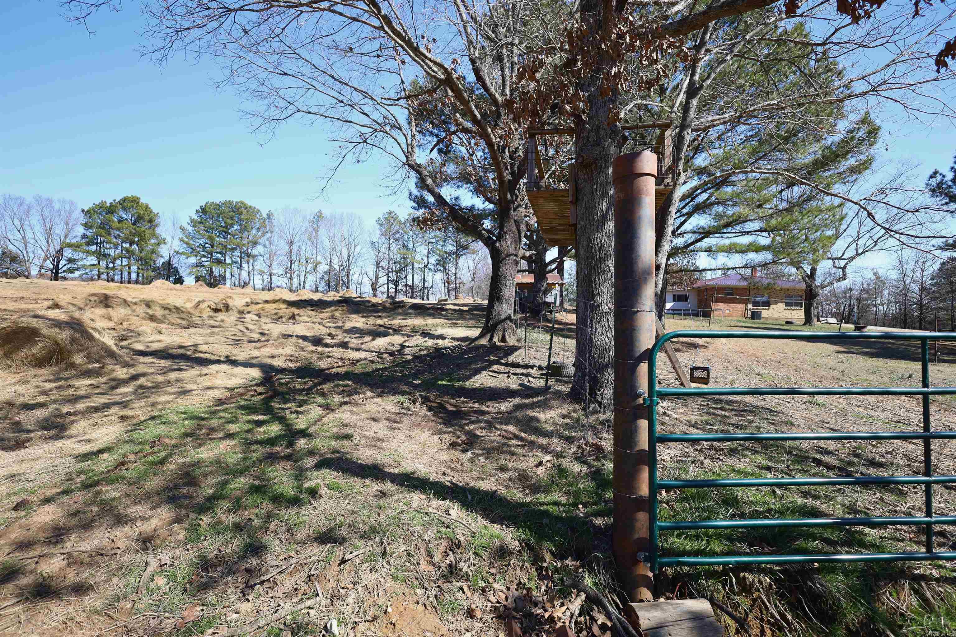 303 County Road 401 Property Photo 28
