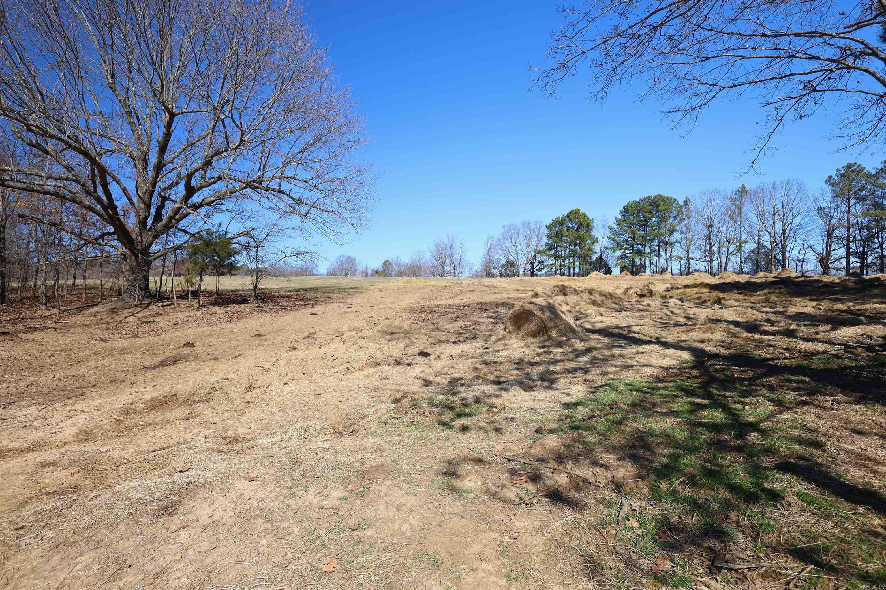 303 County Road 401 Property Photo 30