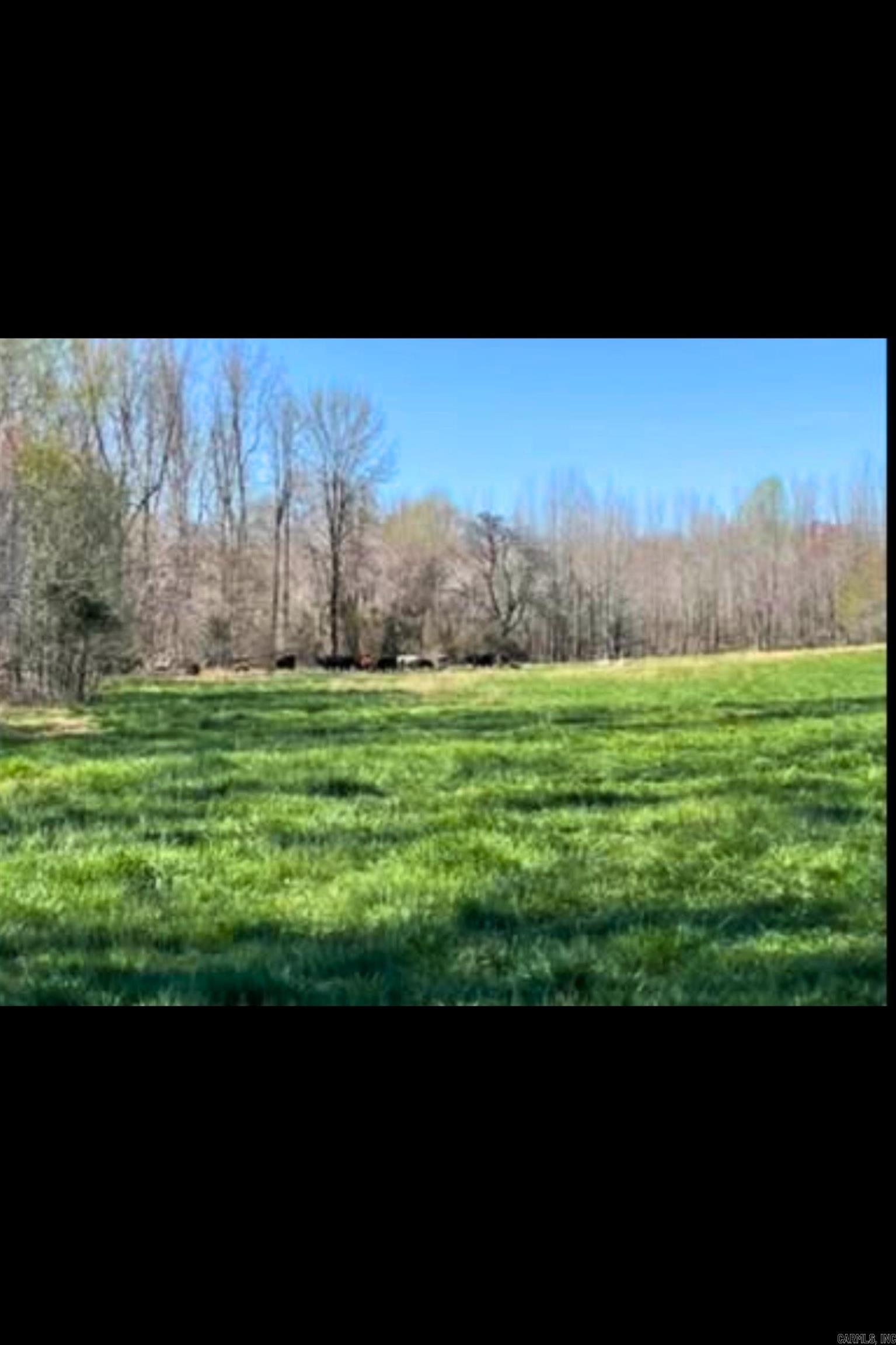 303 County Road 401 Property Photo 40