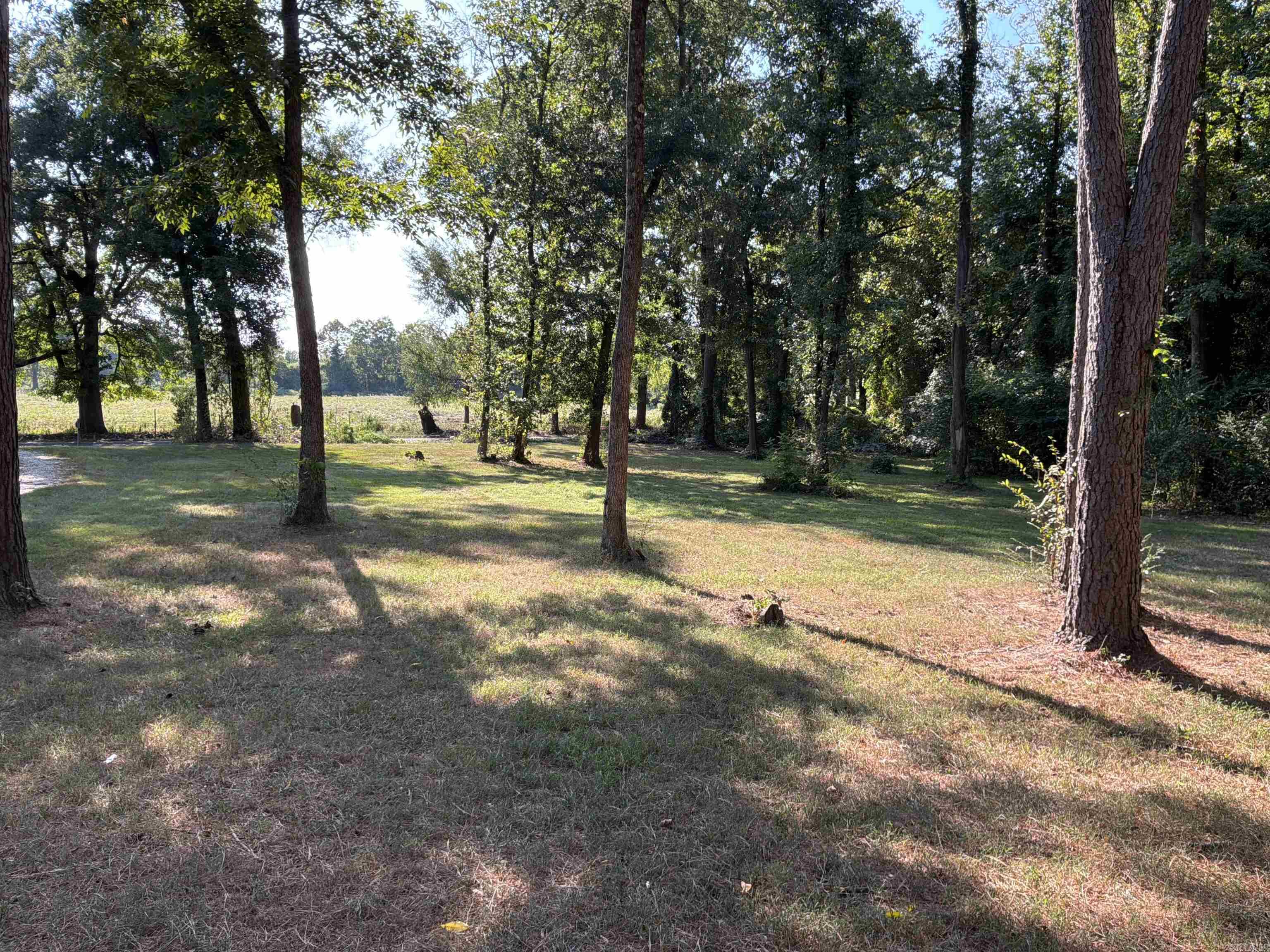 315 Hilltop Road Property Photo 19
