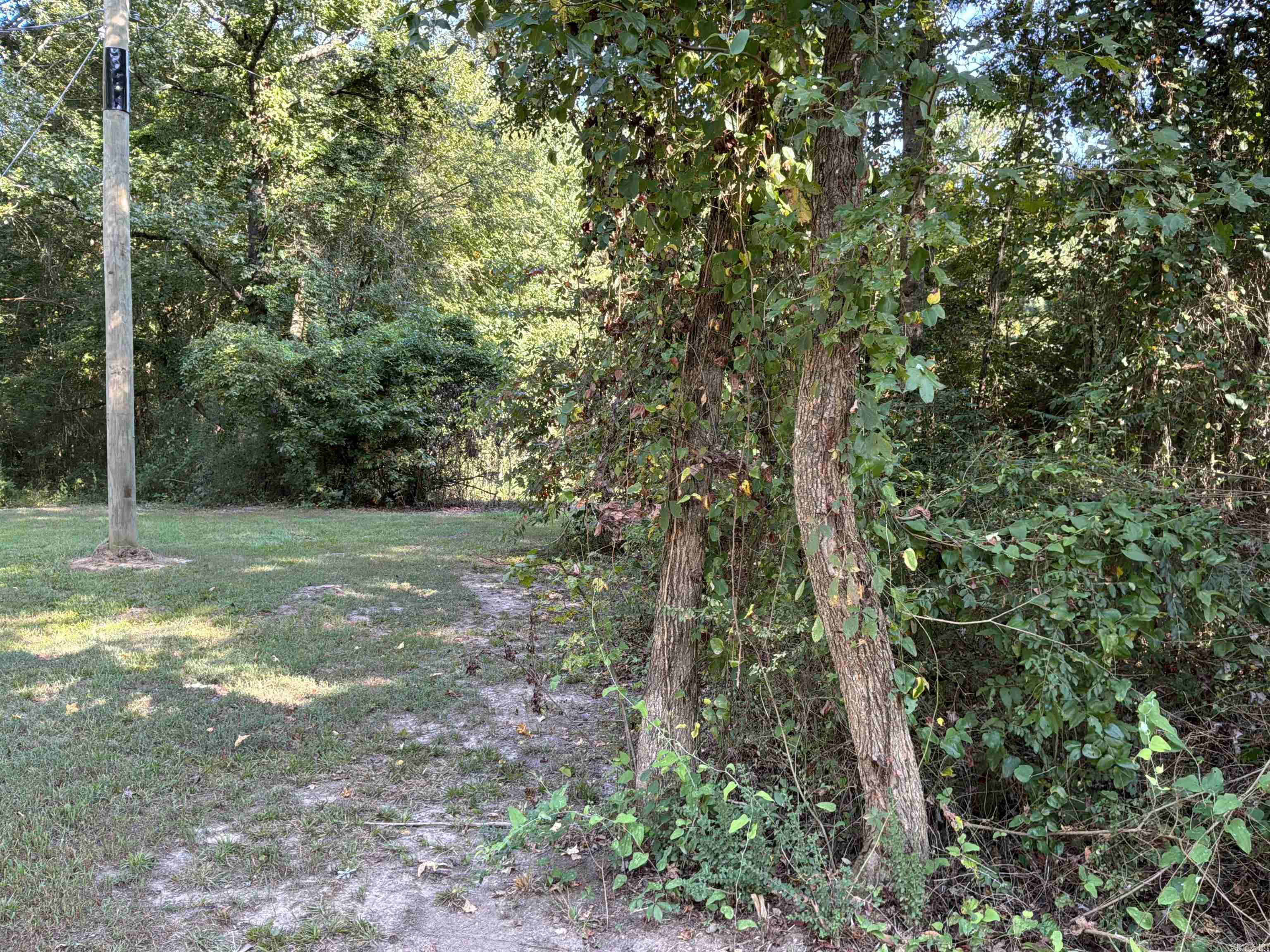 315 Hilltop Road Property Photo 22