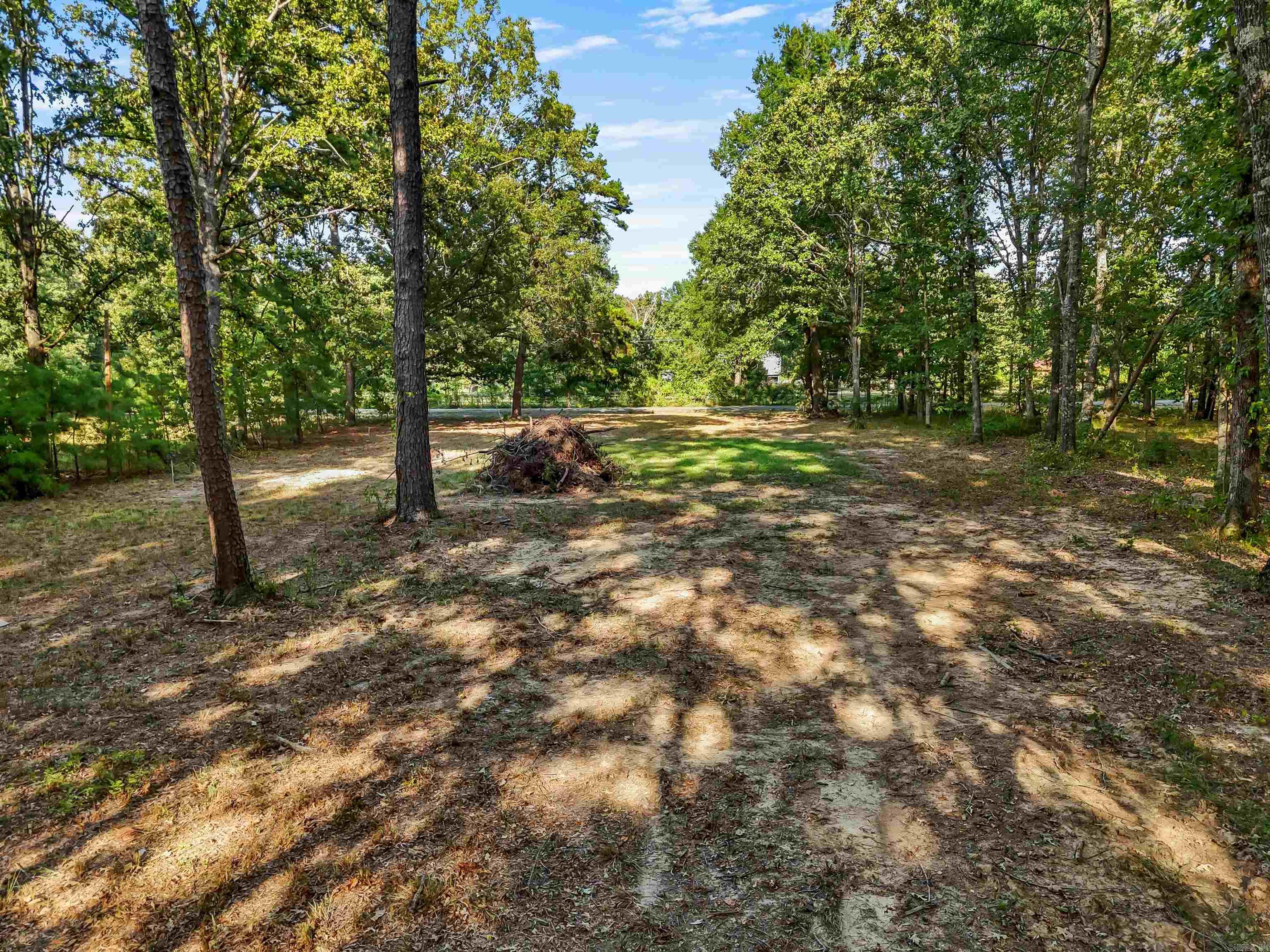 00 Divoky Property Photo 1
