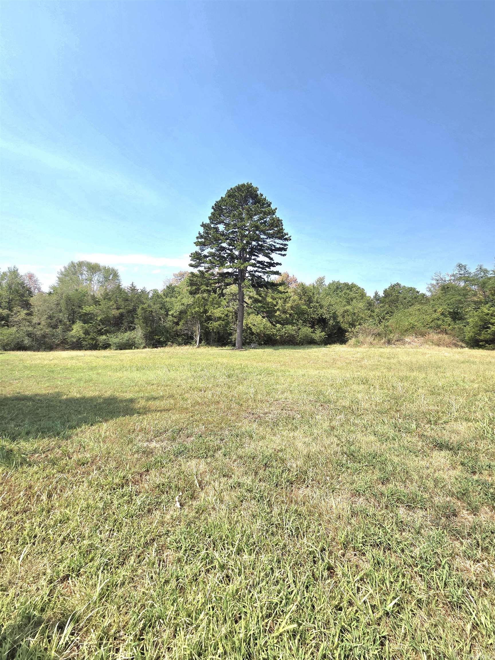 201 Whitfield Avenue Property Photo 2