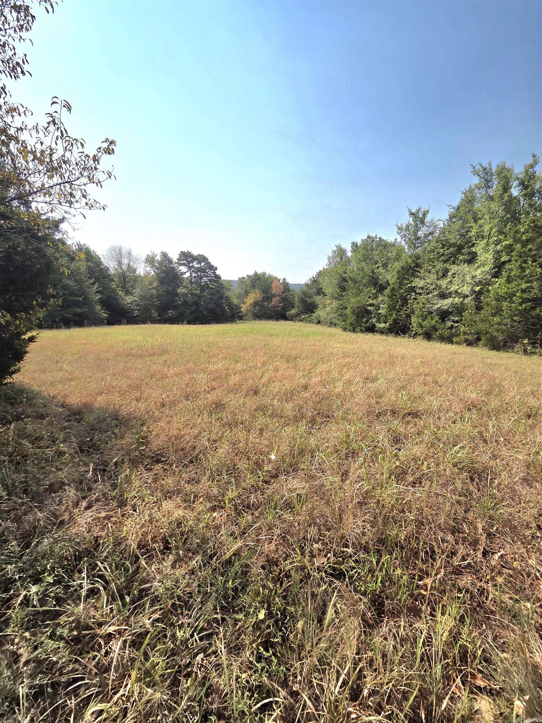 201 Whitfield Avenue Property Photo 4