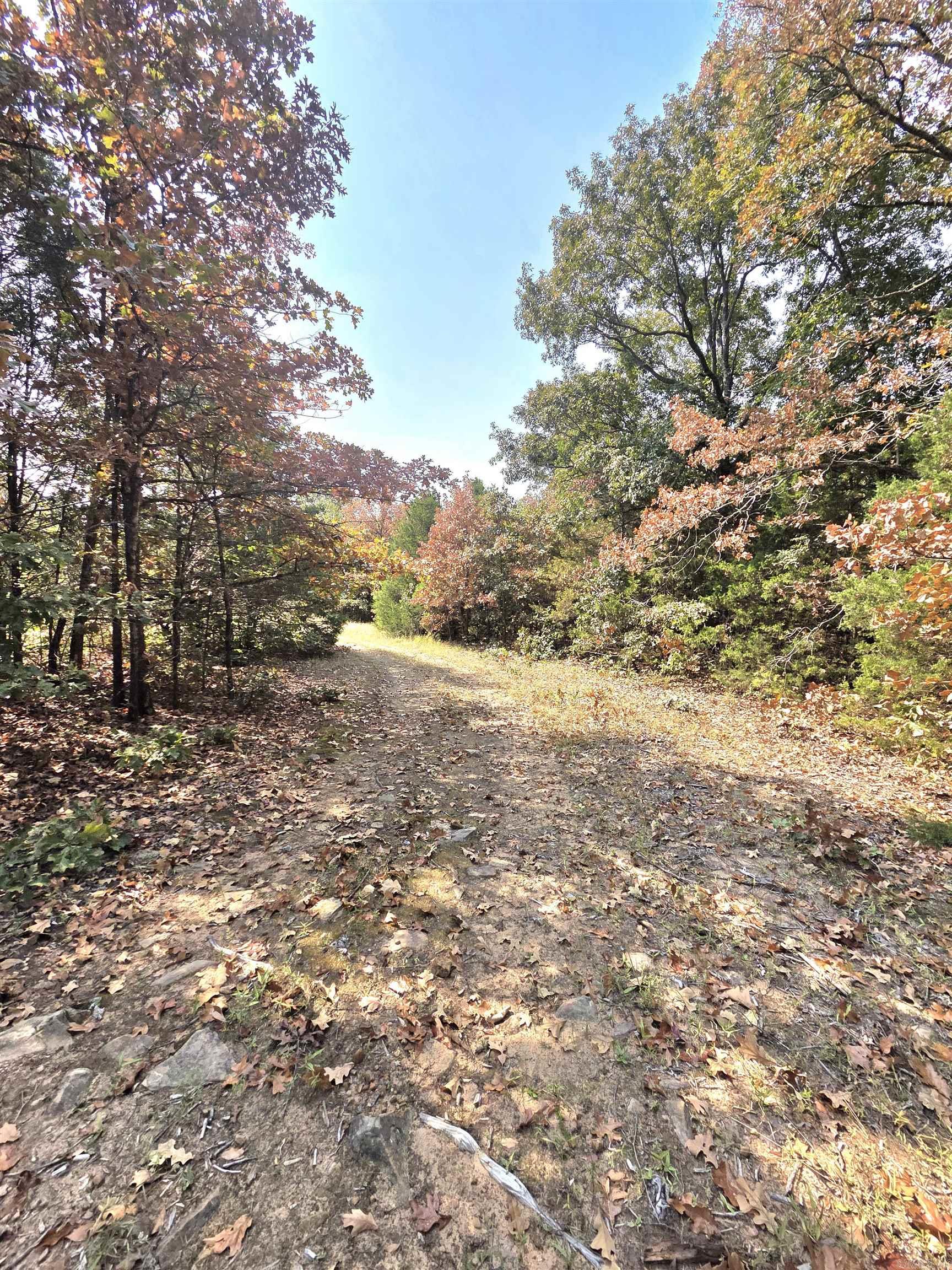 201 Whitfield Avenue Property Photo 5