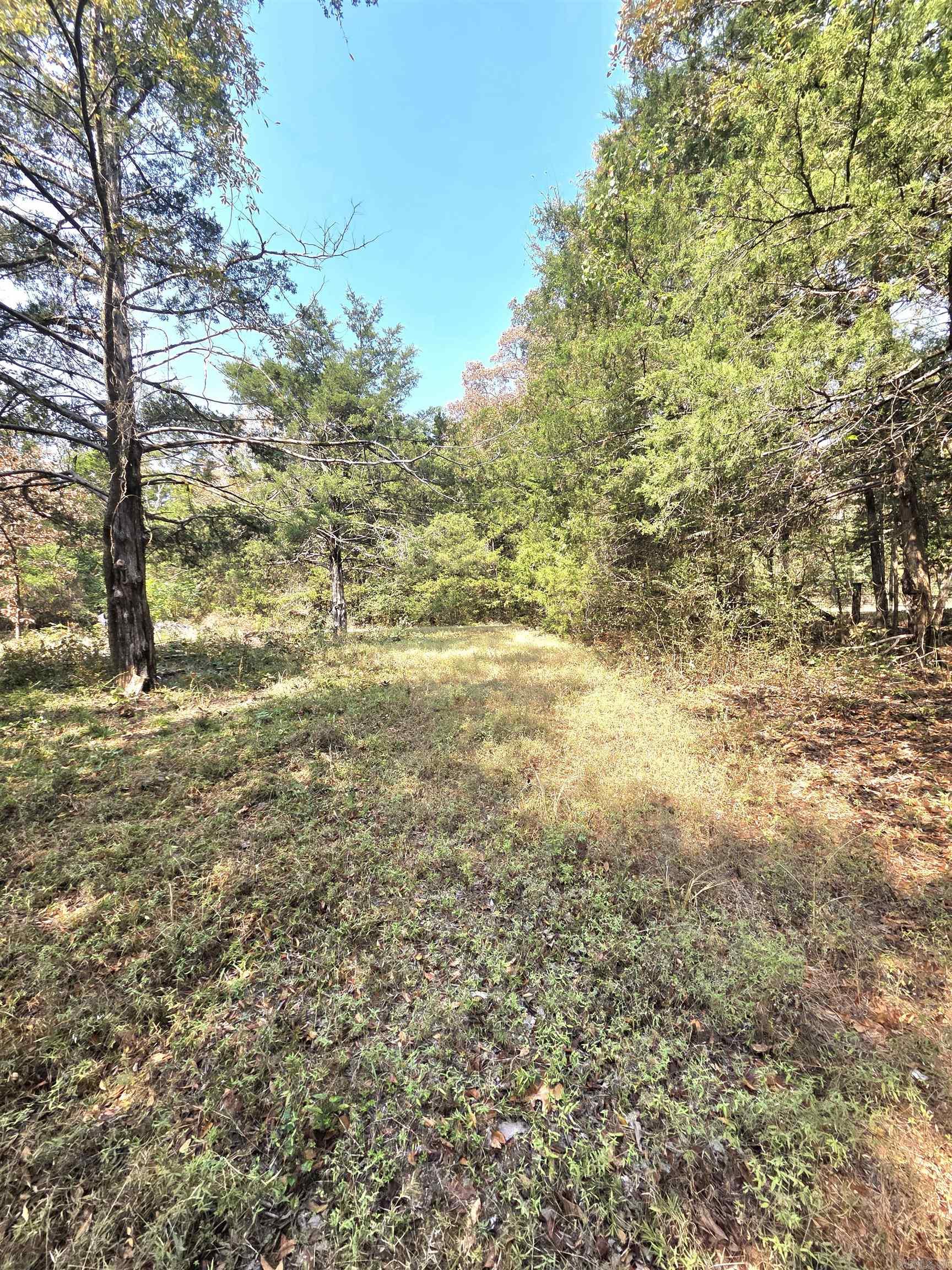 201 Whitfield Avenue Property Photo 7