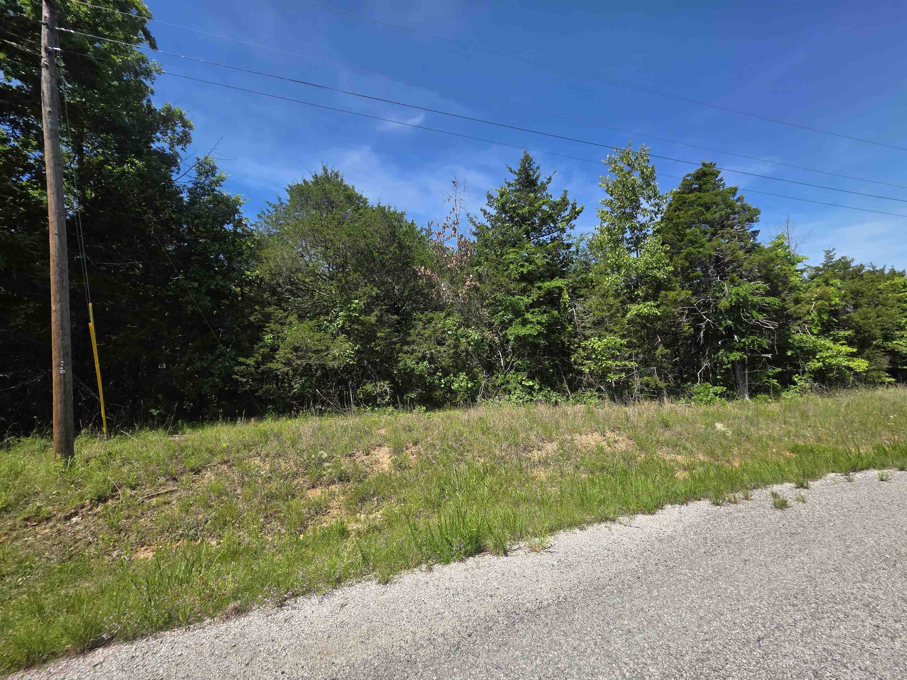 503 & 505 Dove Lane Property Photo 10