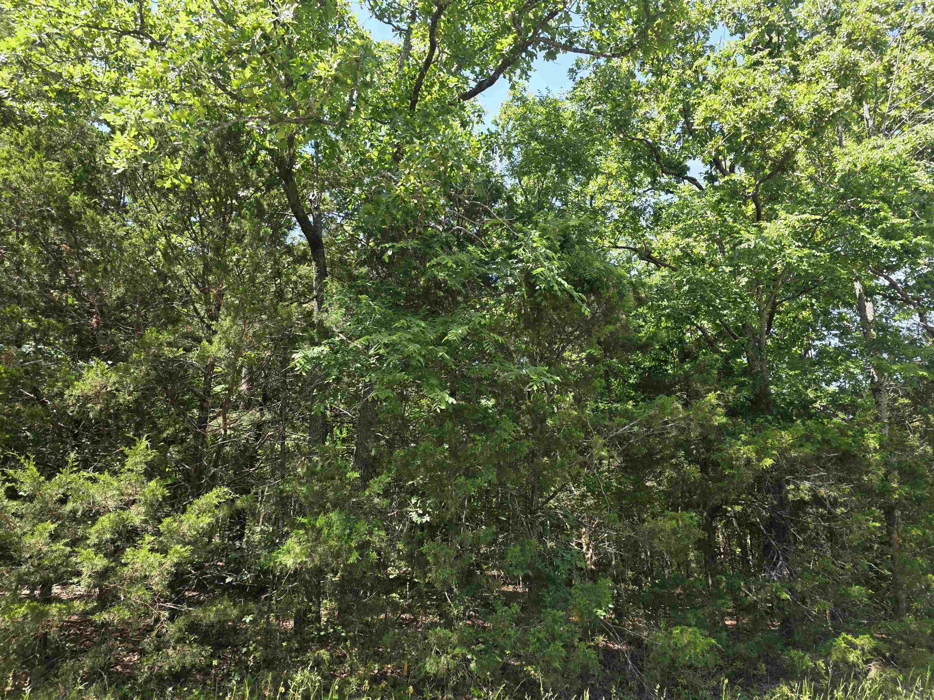 505 Dove Lane Property Photo 8