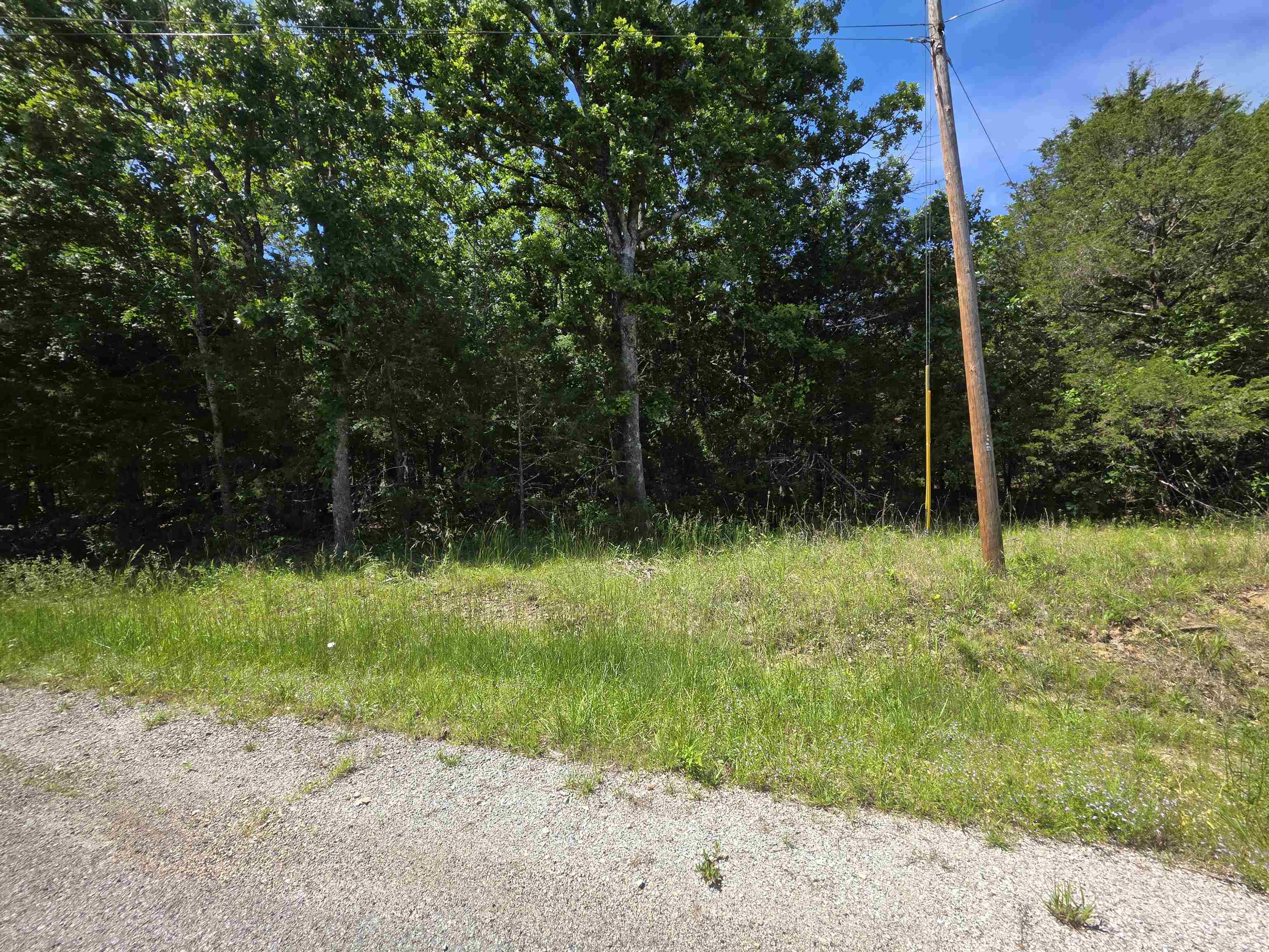 505 Dove Lane Property Photo 13