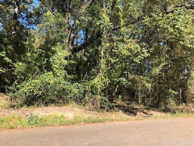 Parnell Rd Property Photo 1