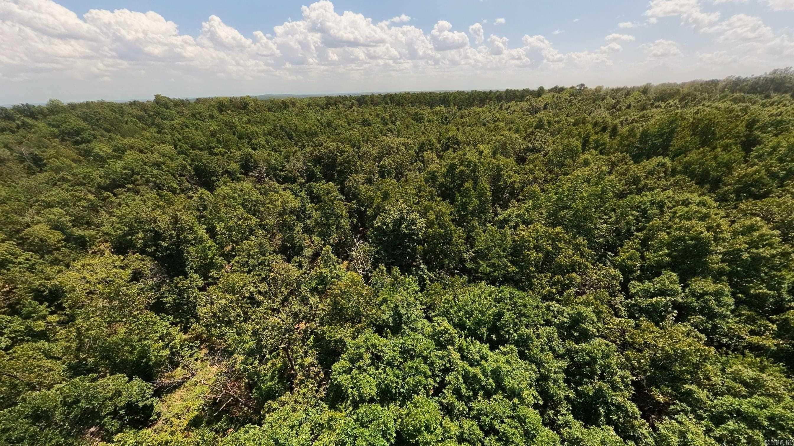000 County Road 127 Property Photo 11