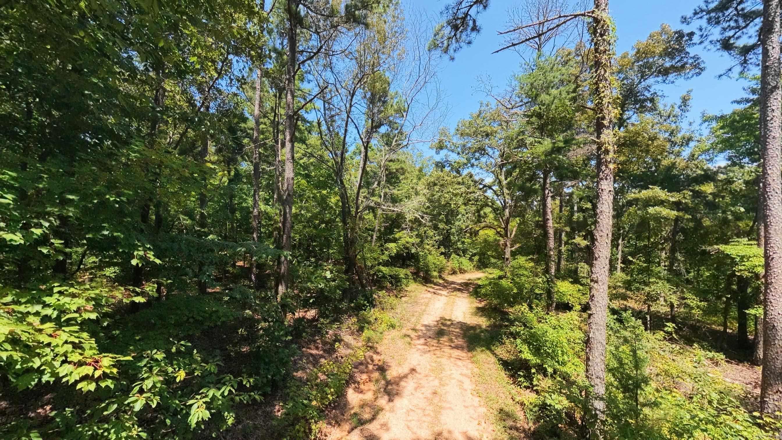 000 County Road 127 Property Photo 18