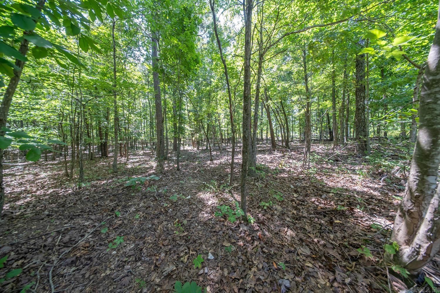 000 County Road 127 Property Photo 19