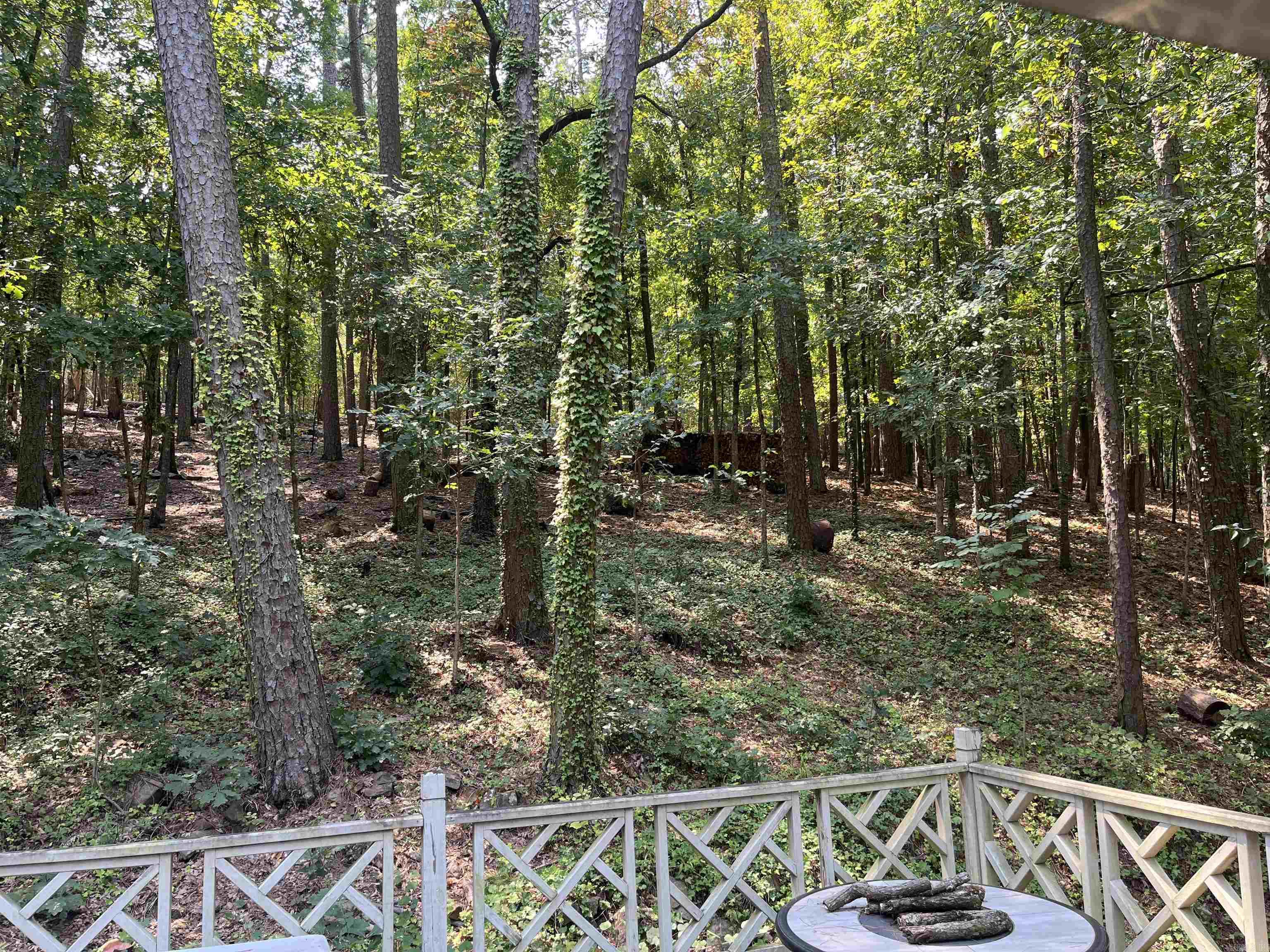 61 Lakeview Drive Property Photo 46