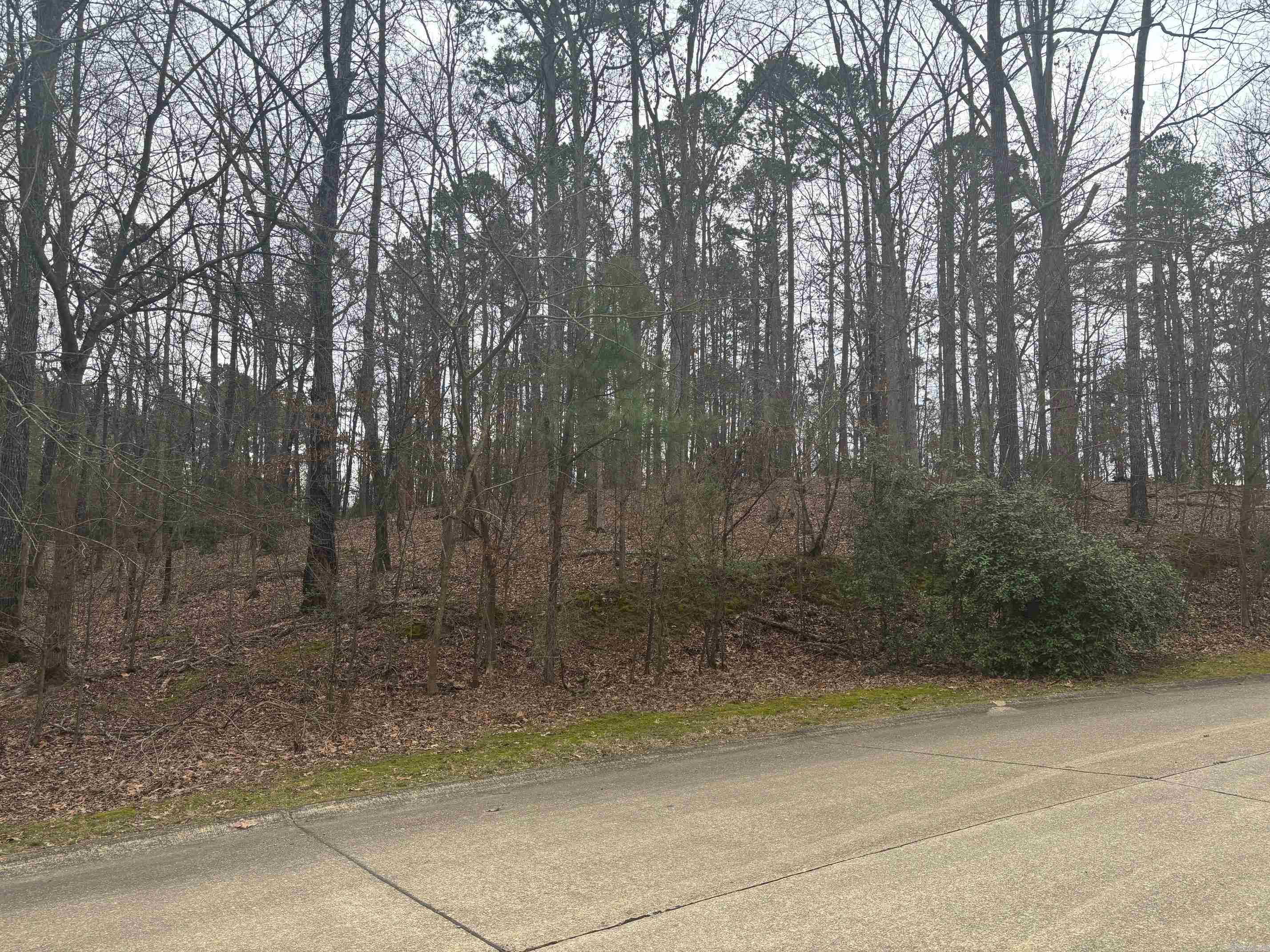 Tbd Waterview Drive Property Photo 3