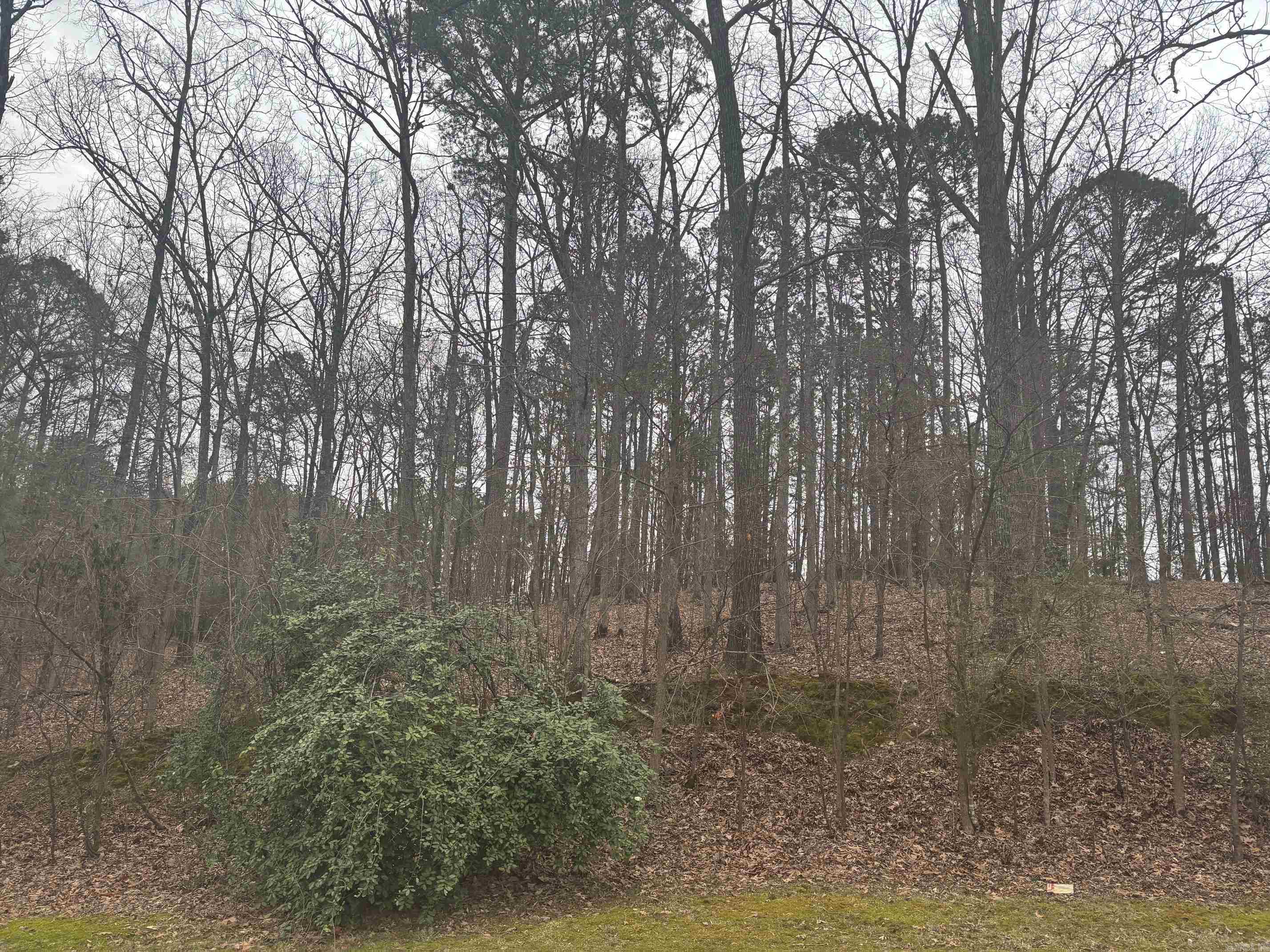 Tbd Waterview Drive Property Photo 4