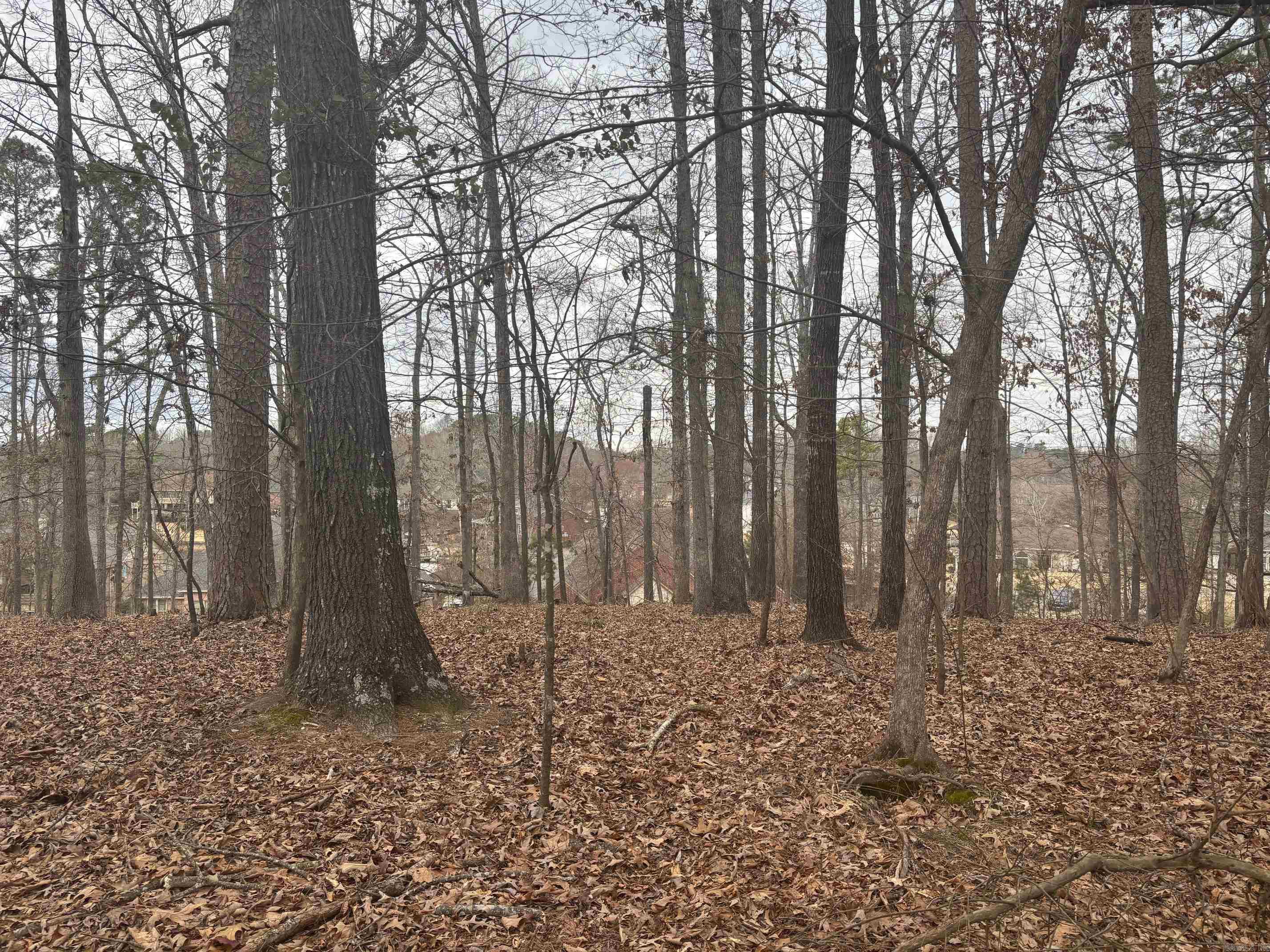 Tbd Waterview Drive Property Photo 5