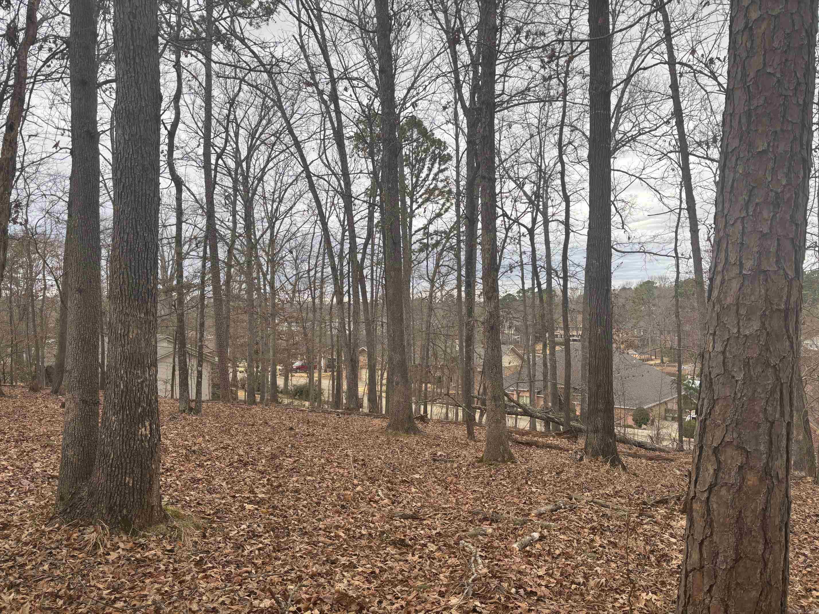 Tbd Waterview Drive Property Photo 6