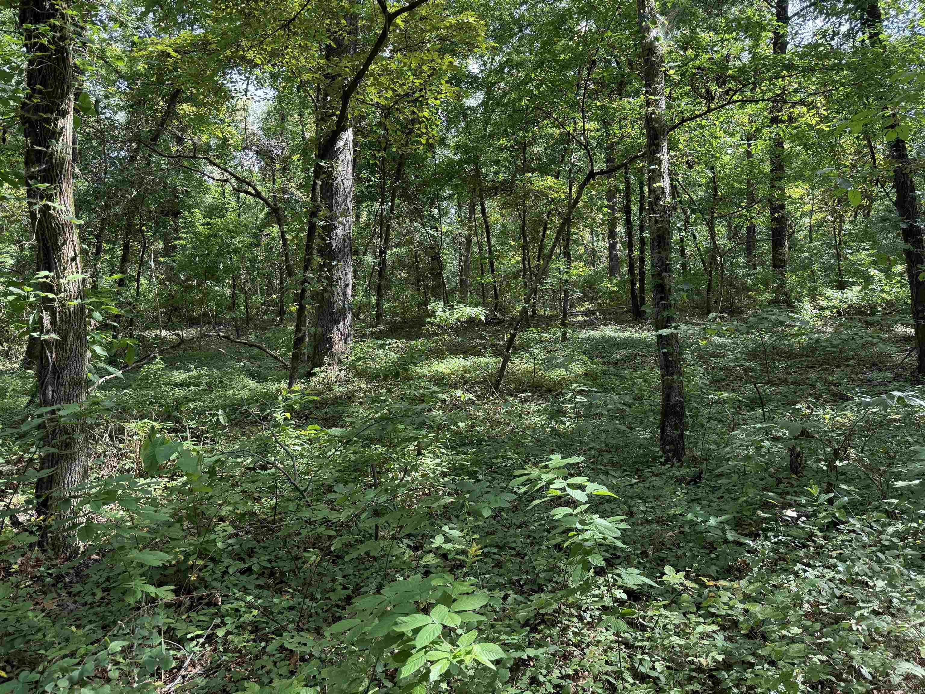 000 County Road 2291 Property Photo 4