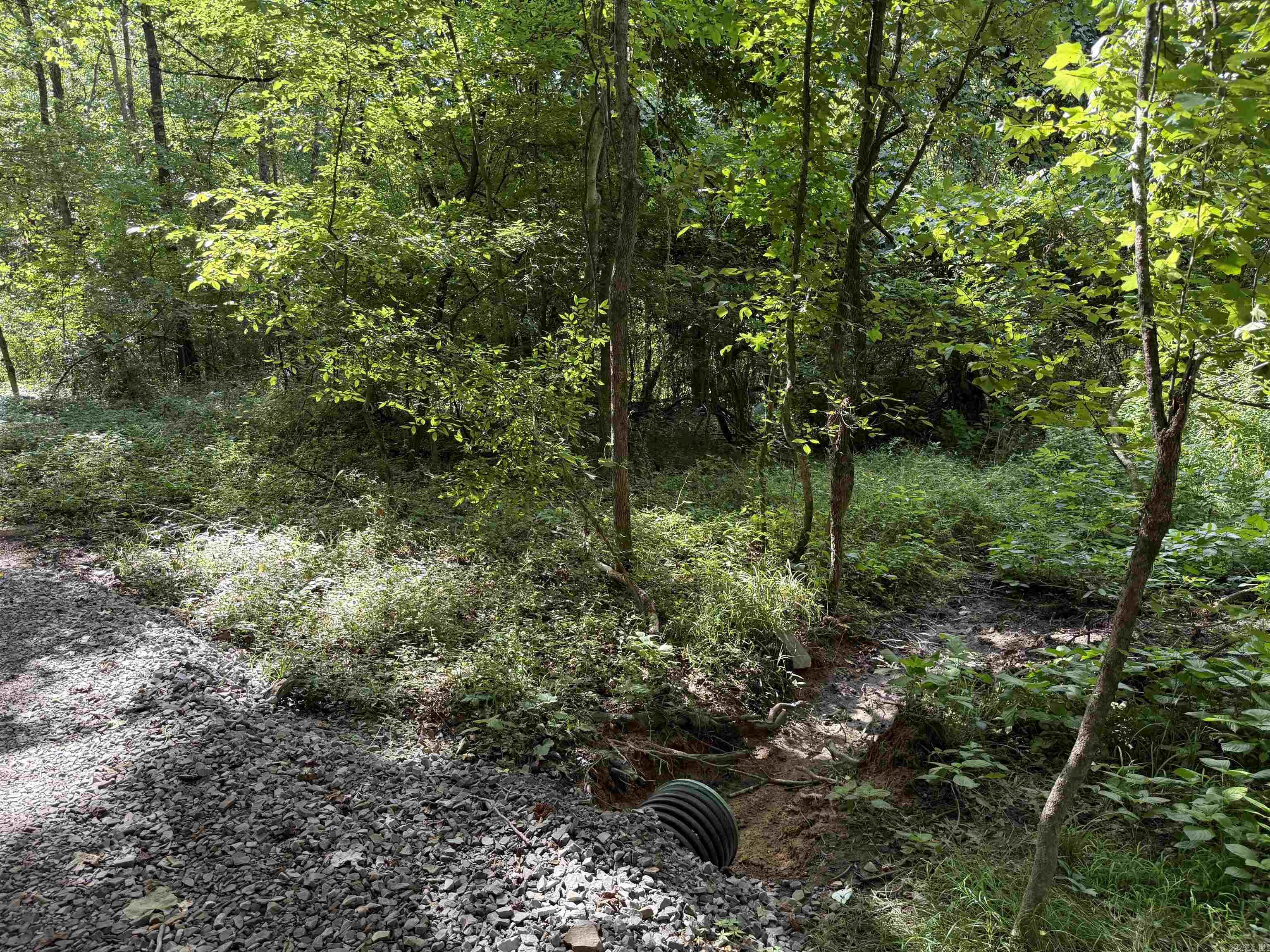 000 County Road 2291 Property Photo 5
