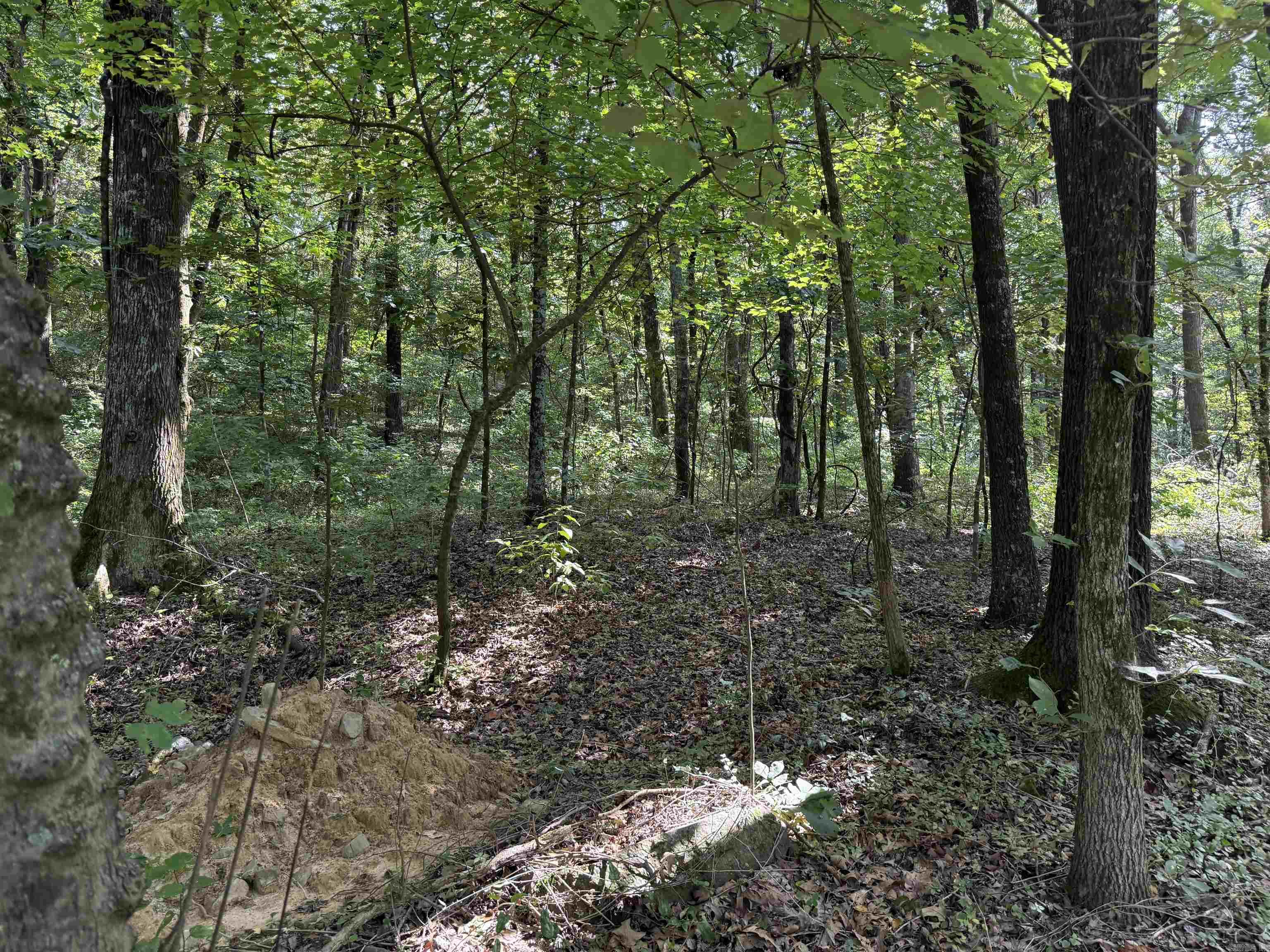000 County Road 2291 Property Photo 6